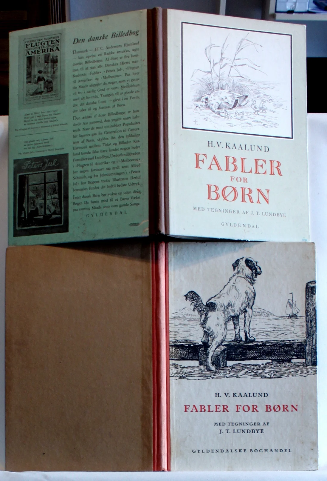 Fabler for Børn. Et halvthundrede Billeder