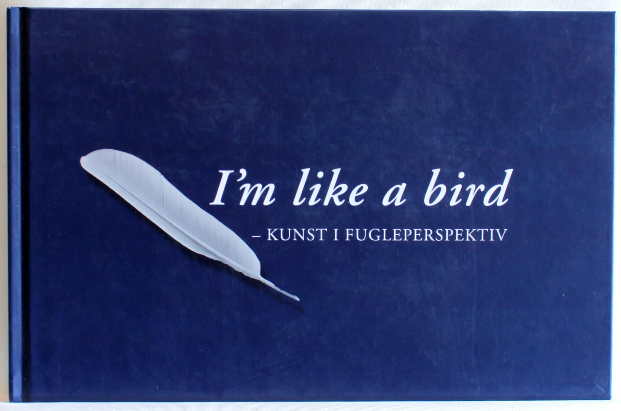 I’m like a bird – kunst i fugleperspektiv