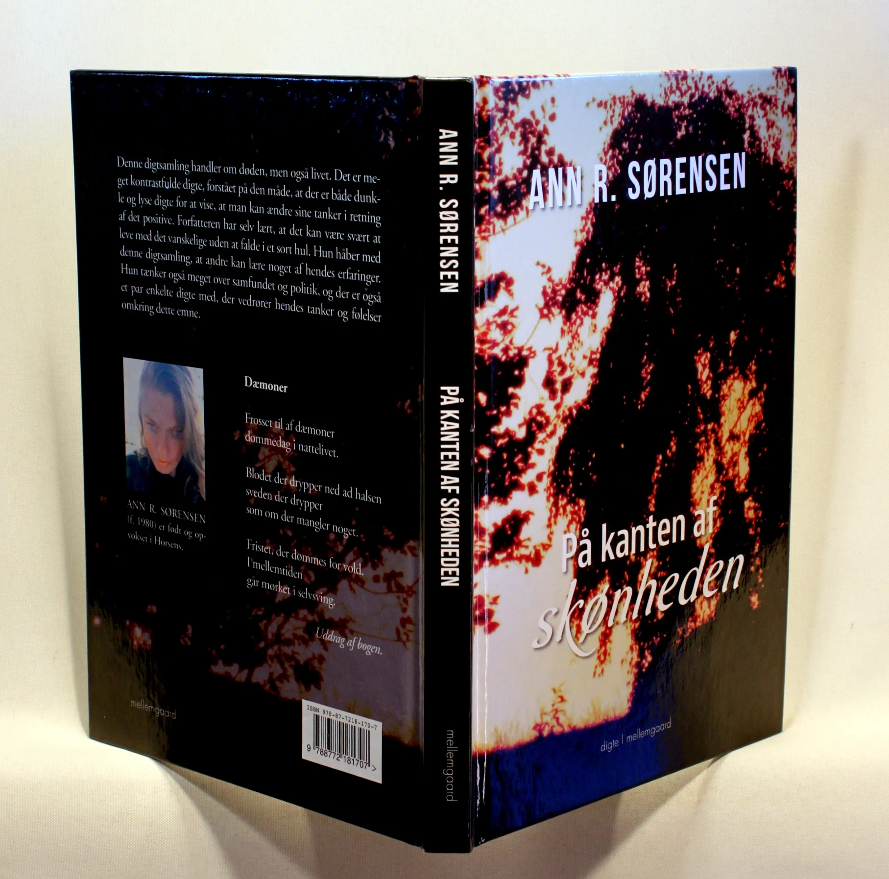 På kanten af skønheden. Digte