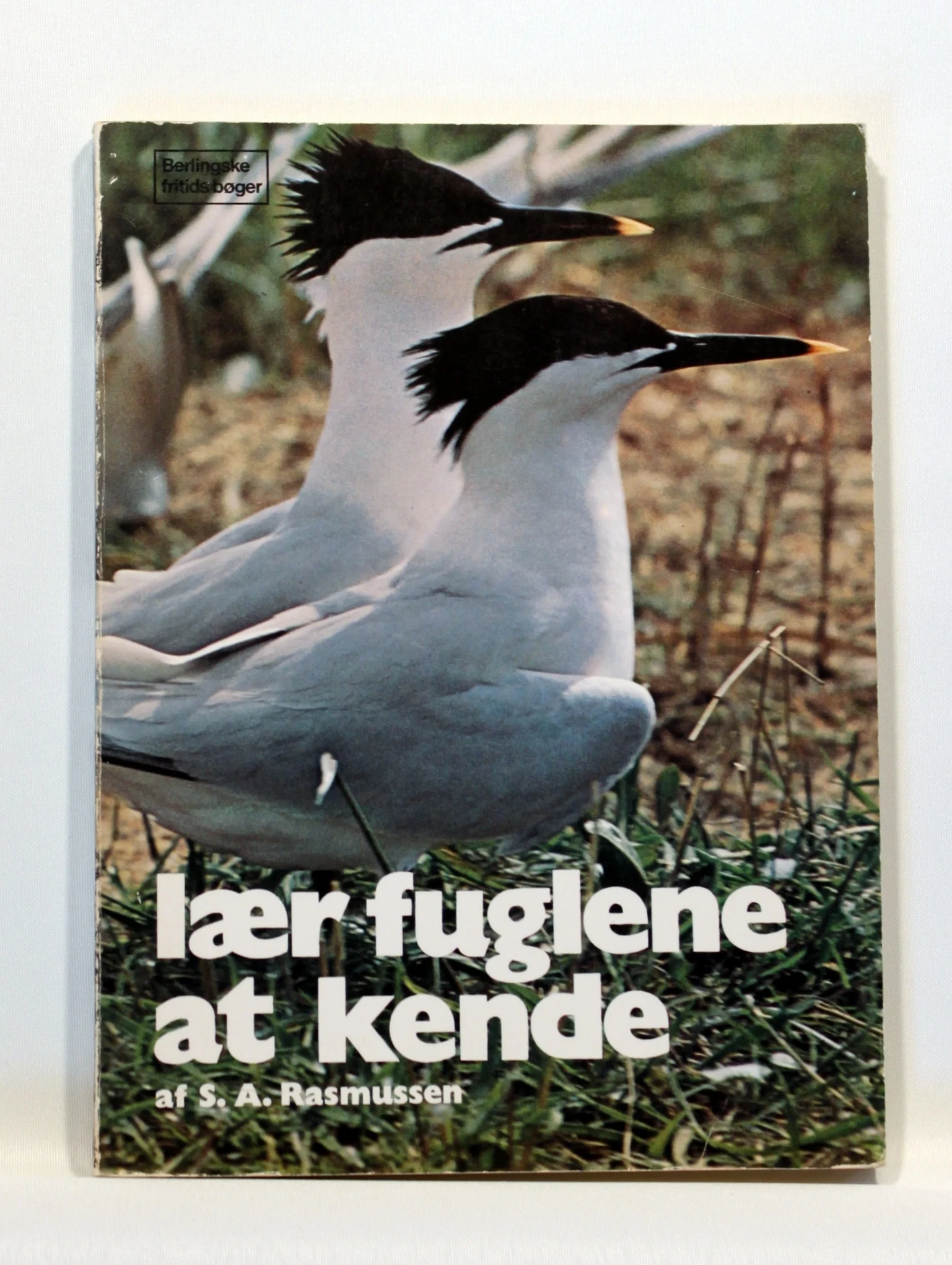Lær fuglene at kende