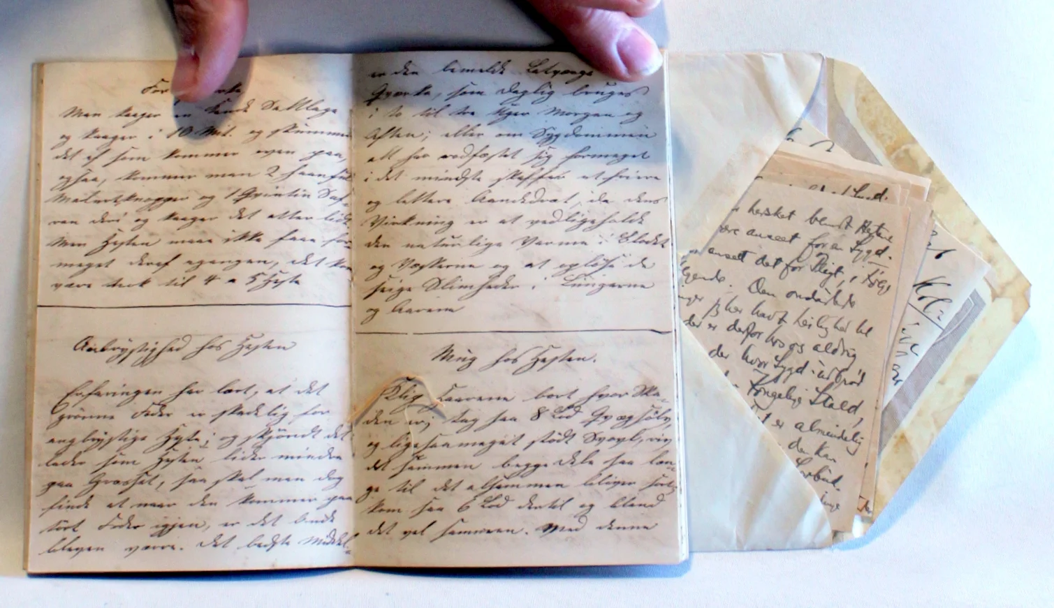 Bogomslag: Adskillige Raad for Mennesker og Dyr af privat udgave