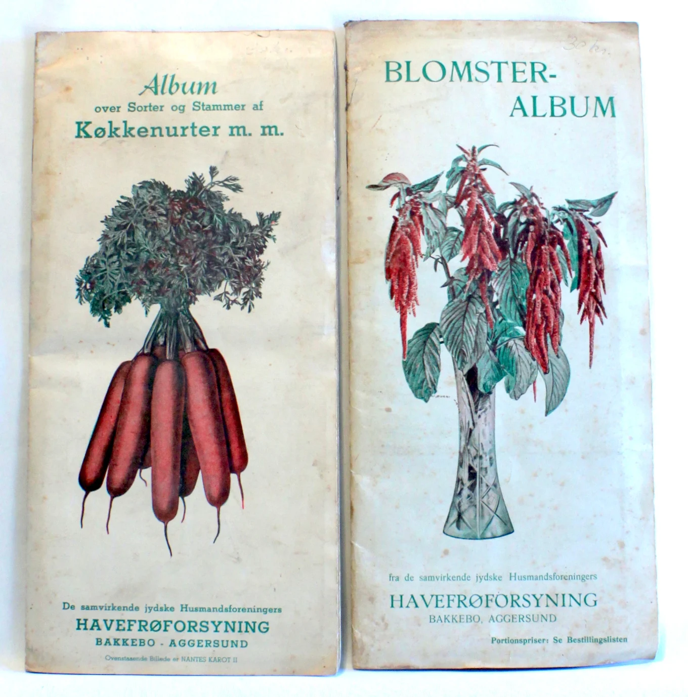 Bogomslag: Blomster-album. Album over sorter og stammer af køkkenurter m.m. af De samvirkende jydske husmandsforeningers havefrøforsyning. Bakkebo – Aggersund