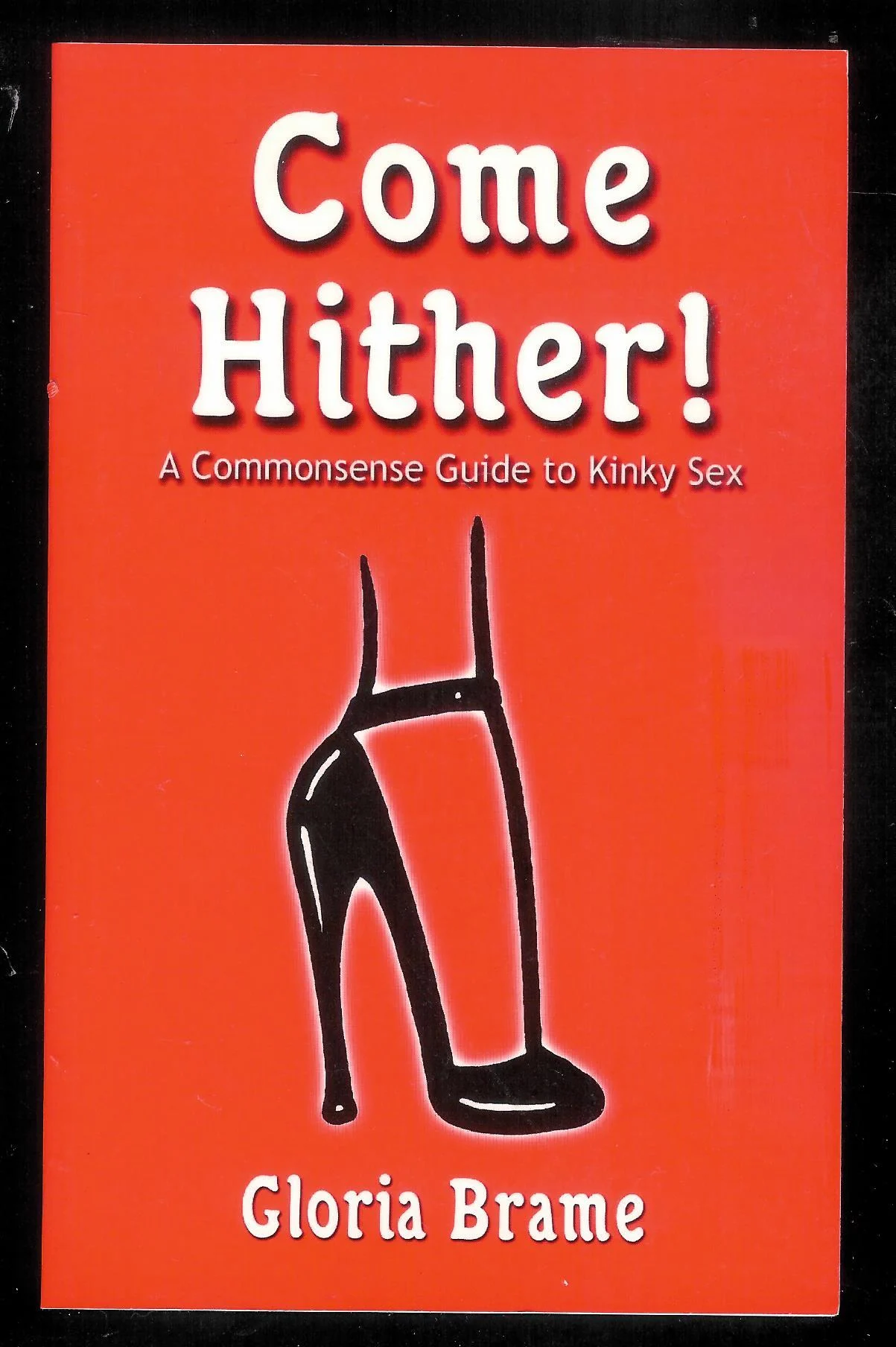Come Hither! A Commonsense Guide to Kinky Sex