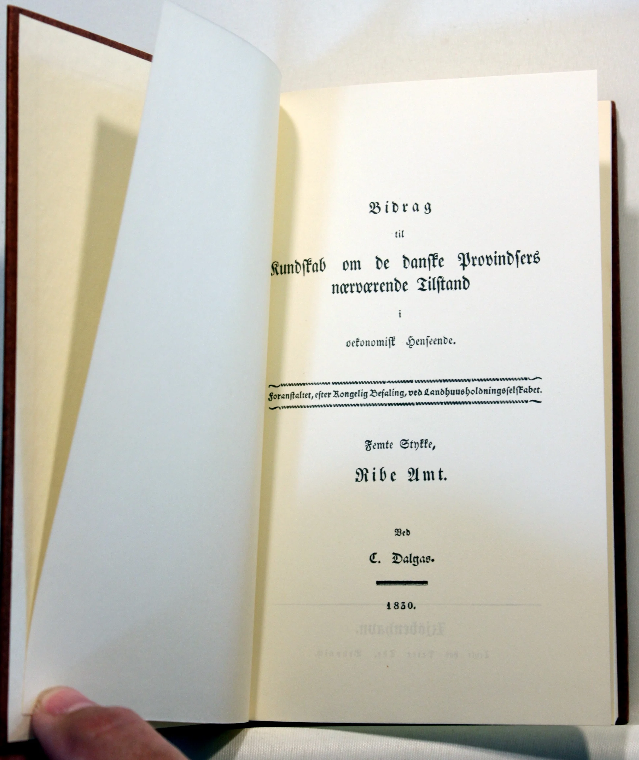 Bidrag til Kundskab om de danske Provindsers nærværende Tilstand i økonomisk henseende, foranstaltet, efter Kongelig Befaling, ved Landhuusholdningsselskabet. Femte stykke. Ribe Amt