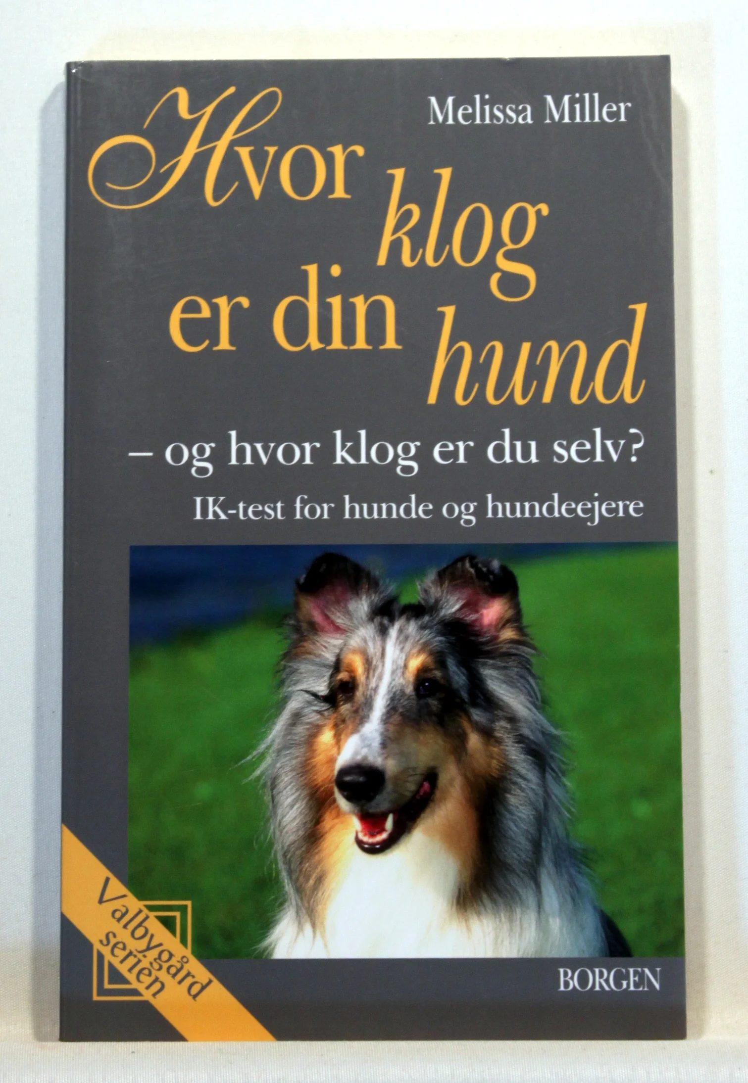 Hvor klog er din hund – og hvor klog er du selv?