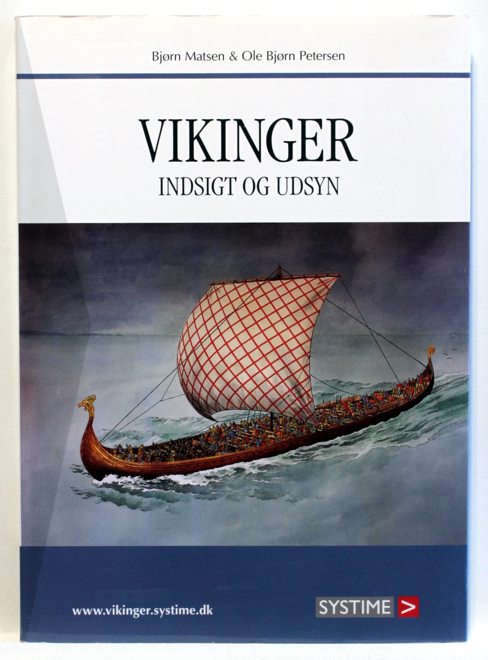 Vikinger. Indsigt og udsyn