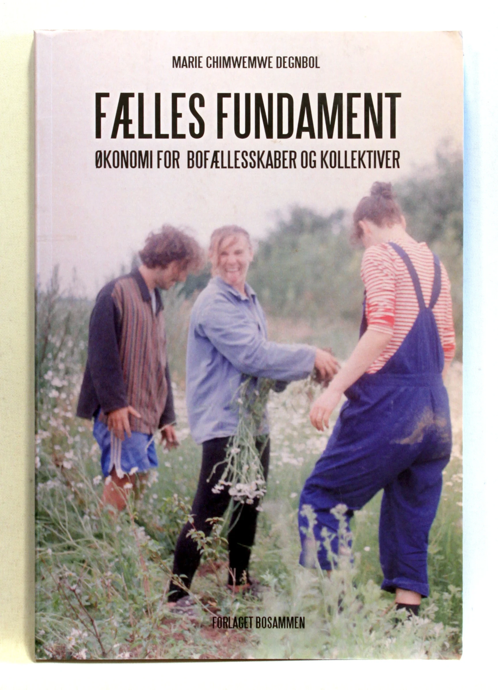 Fælles fundament – Økonomi for bofællesskaber og kollektiver