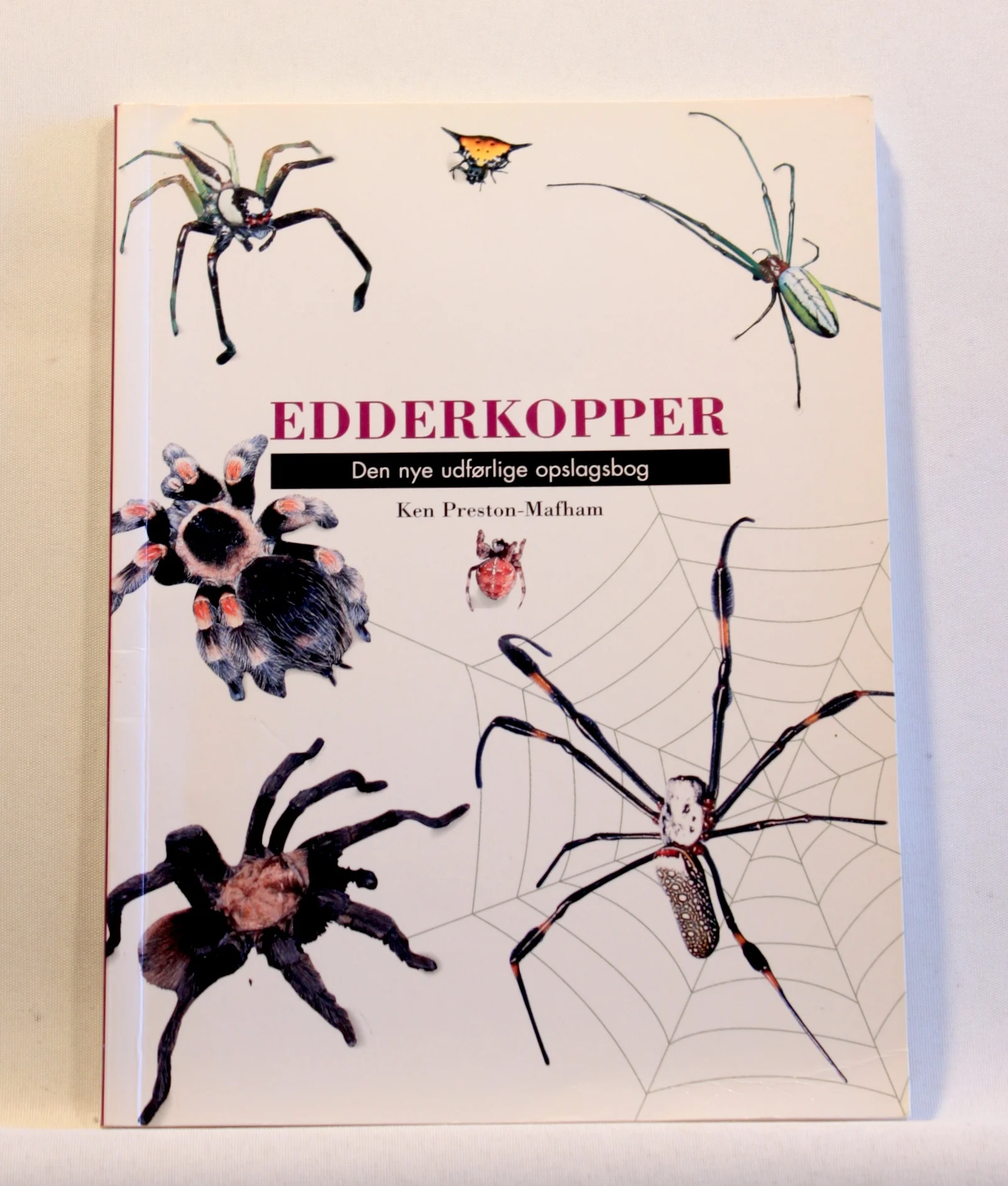 Edderkopper. Den nye udførlige opslagsbog