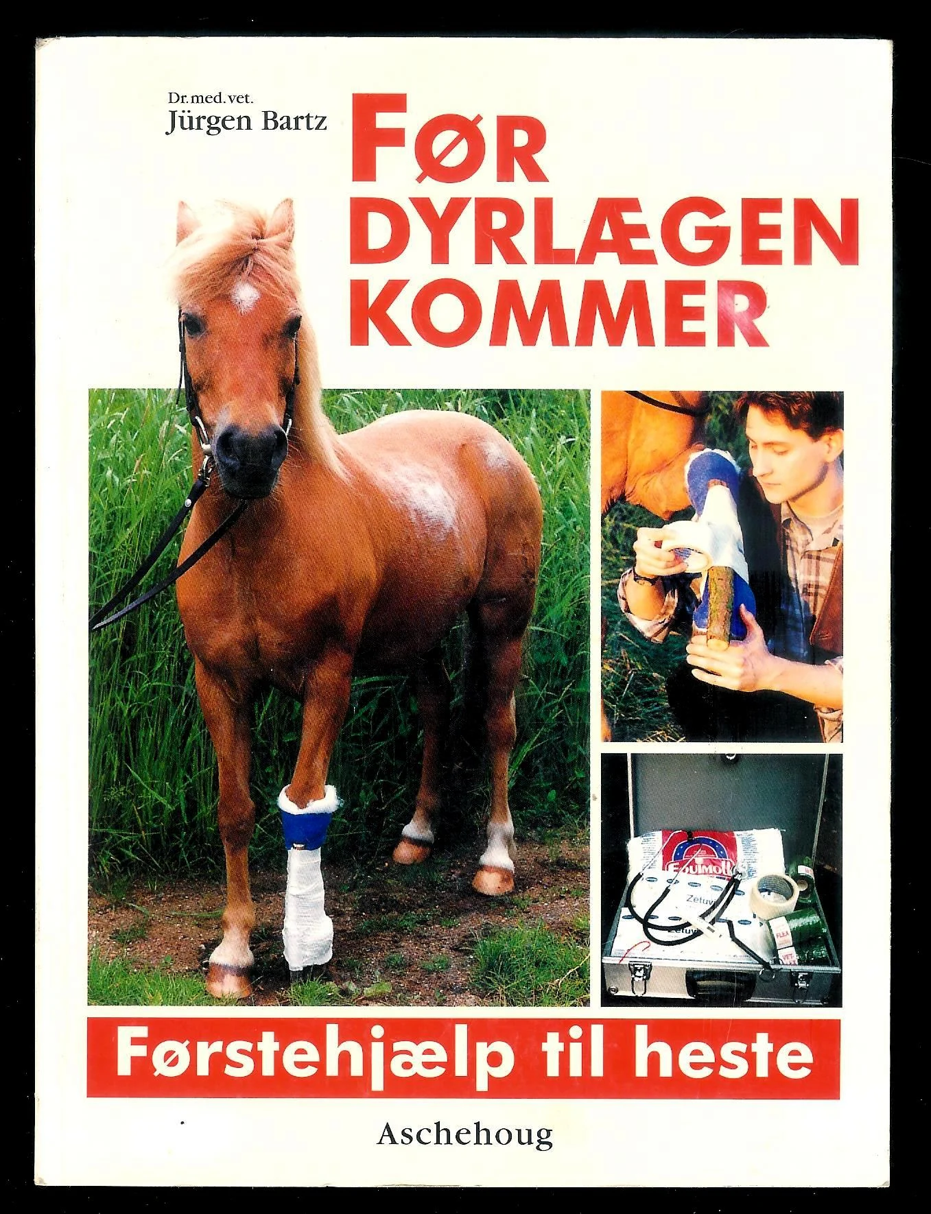 Før dyrlægen kommer – førstehjælp til heste