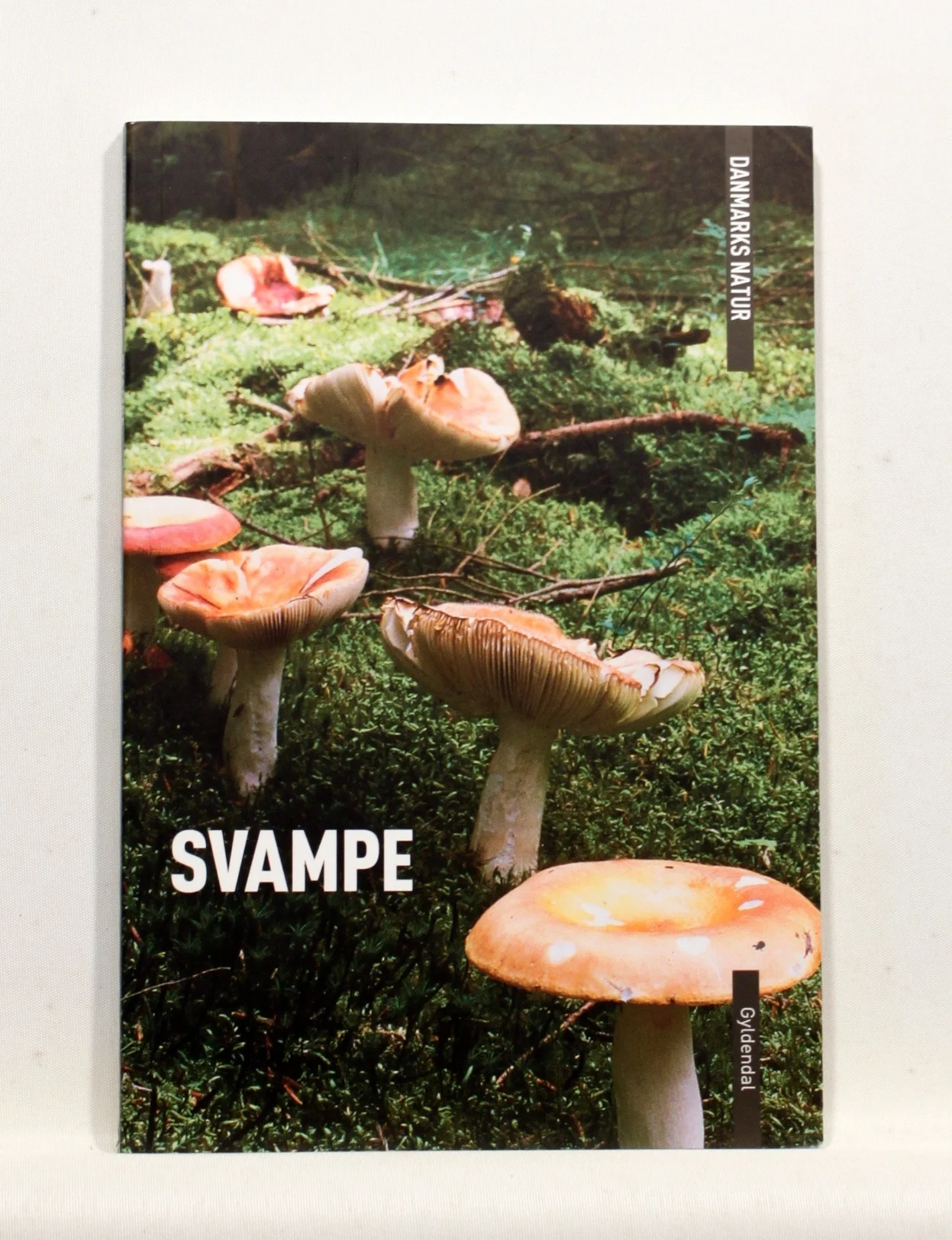 Danmarks Natur Svampe