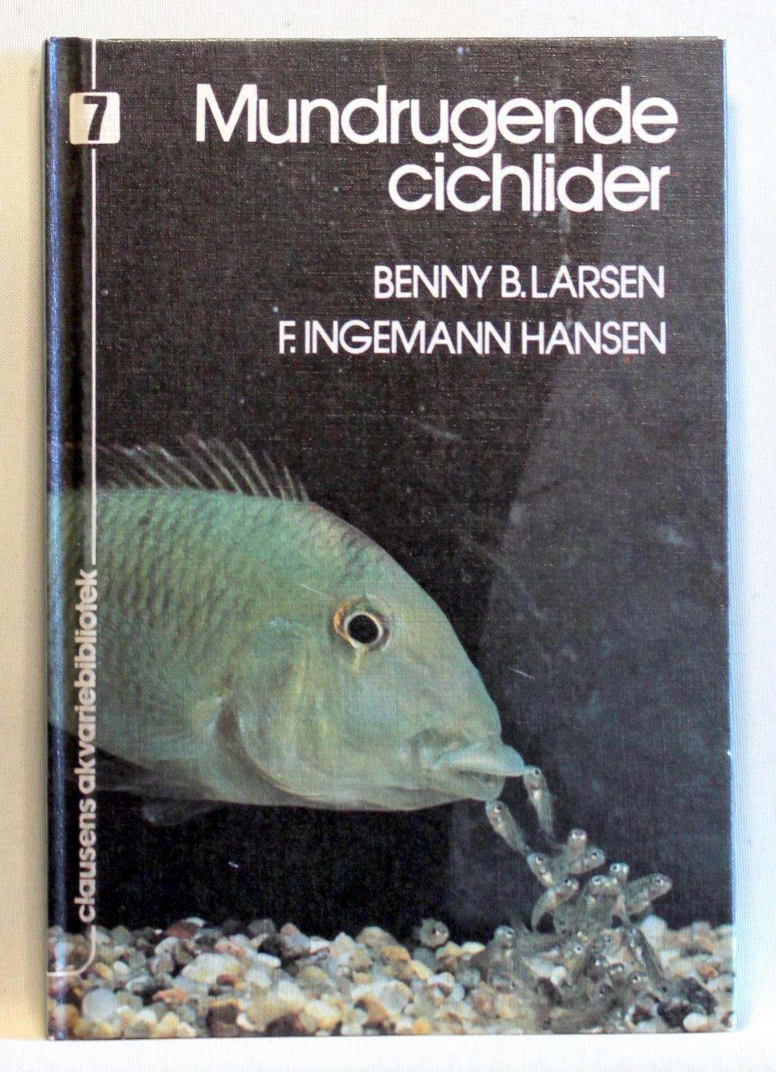 Mundrugende cichlider