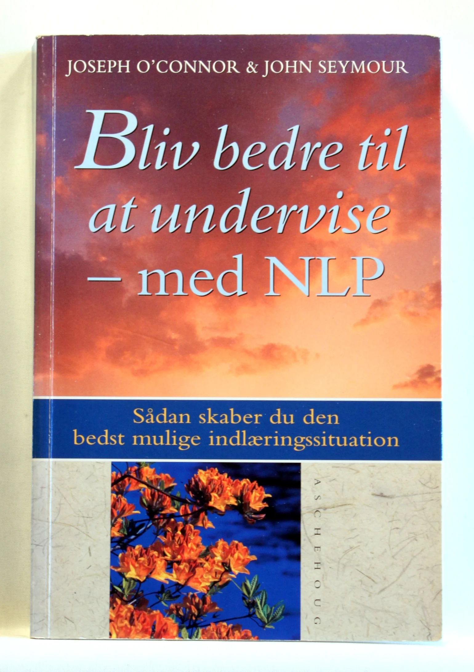 Bliv bedre til at undervise – med NLP