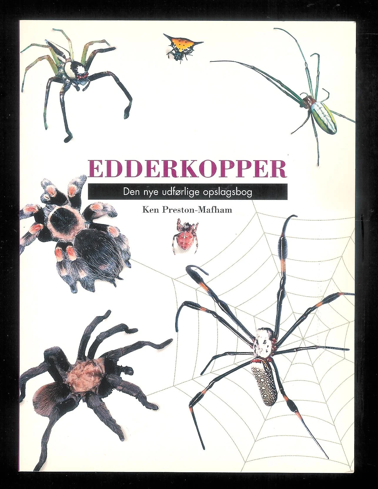 Edderkopper. Den nye udførlige opslagsbog