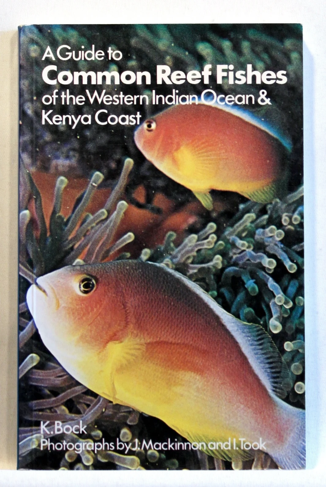 A Guide to Common Reef Fishes of the Western Indian Ocean
