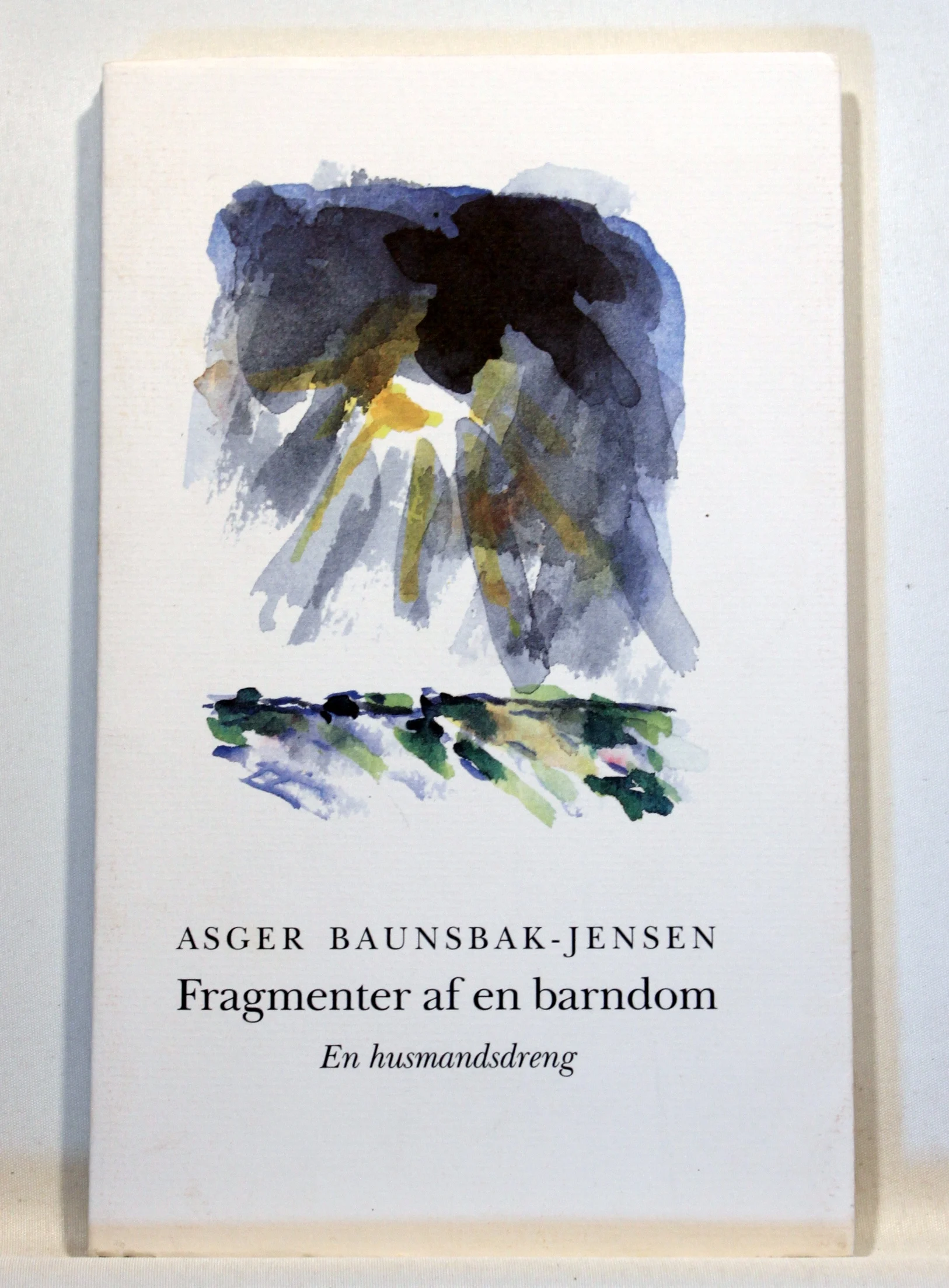 Fragmenter af en barndom. En husmandsdreng