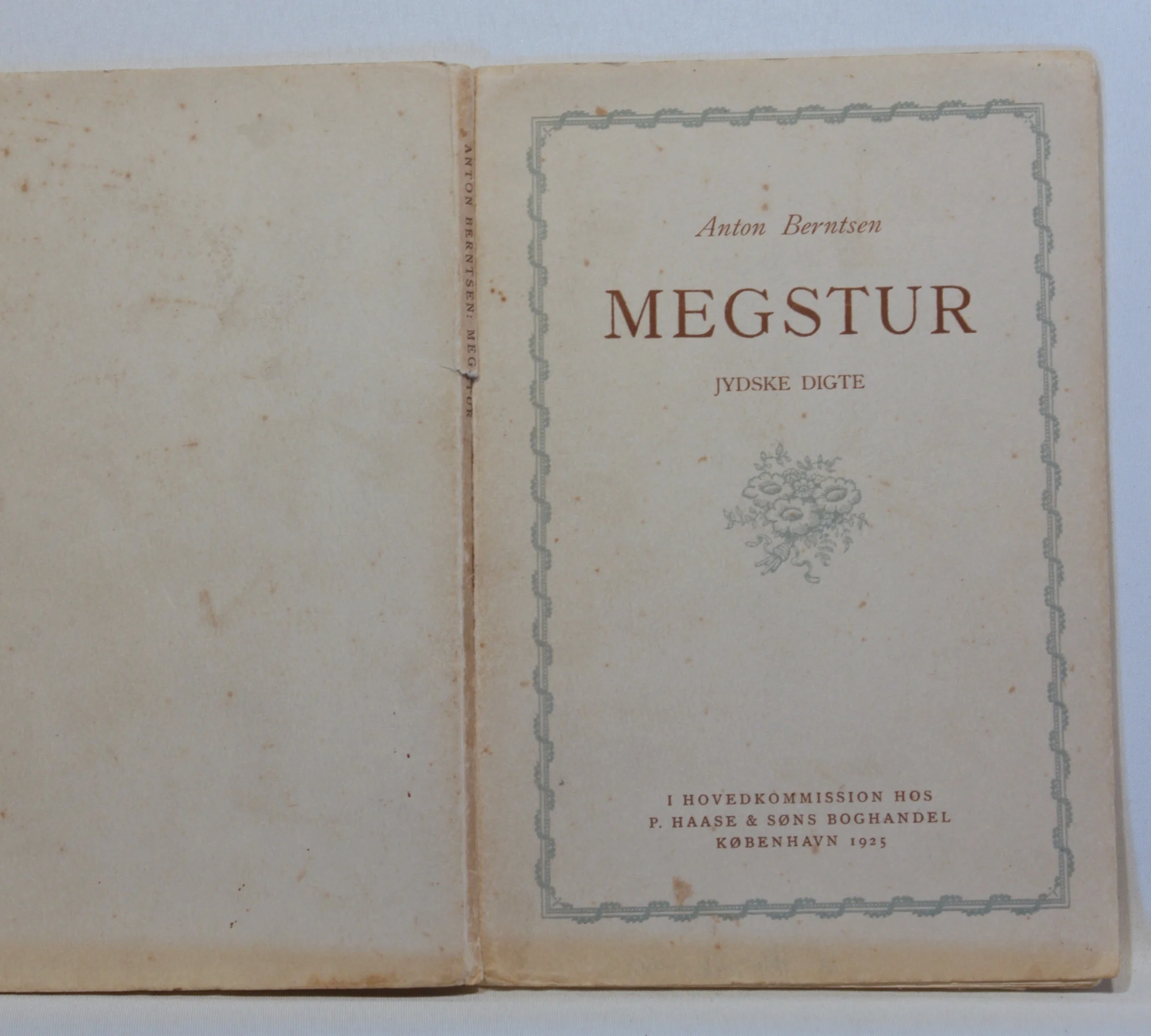 Megstur. Jydske Digte.