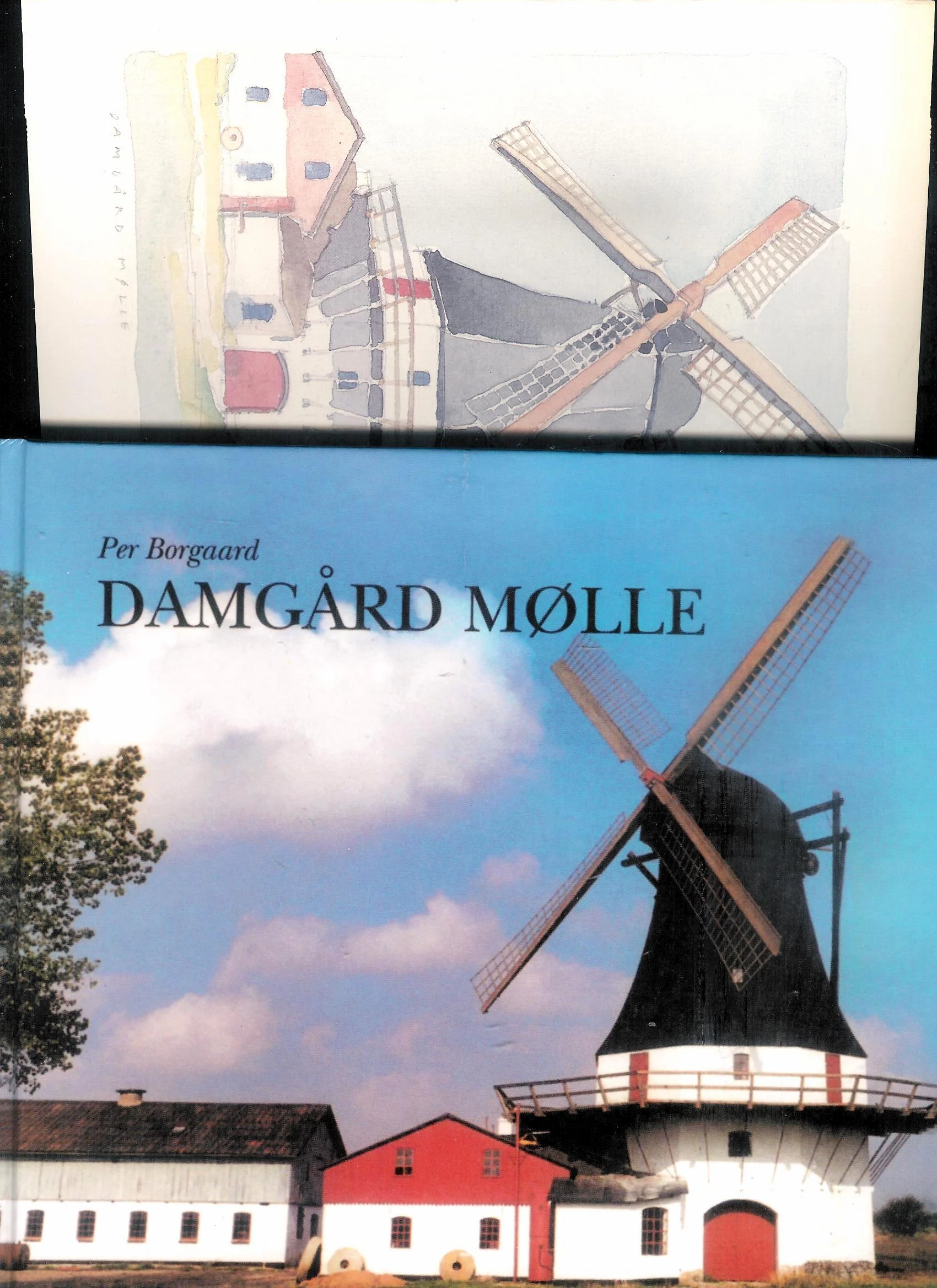 Damgård Mølle. En mosaik omkring en sønderjysk boghvedemølle og dens egn