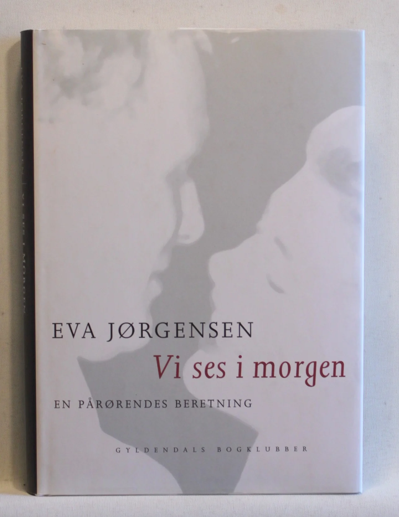 Vi ses i morgen. En pårørendes beretning
