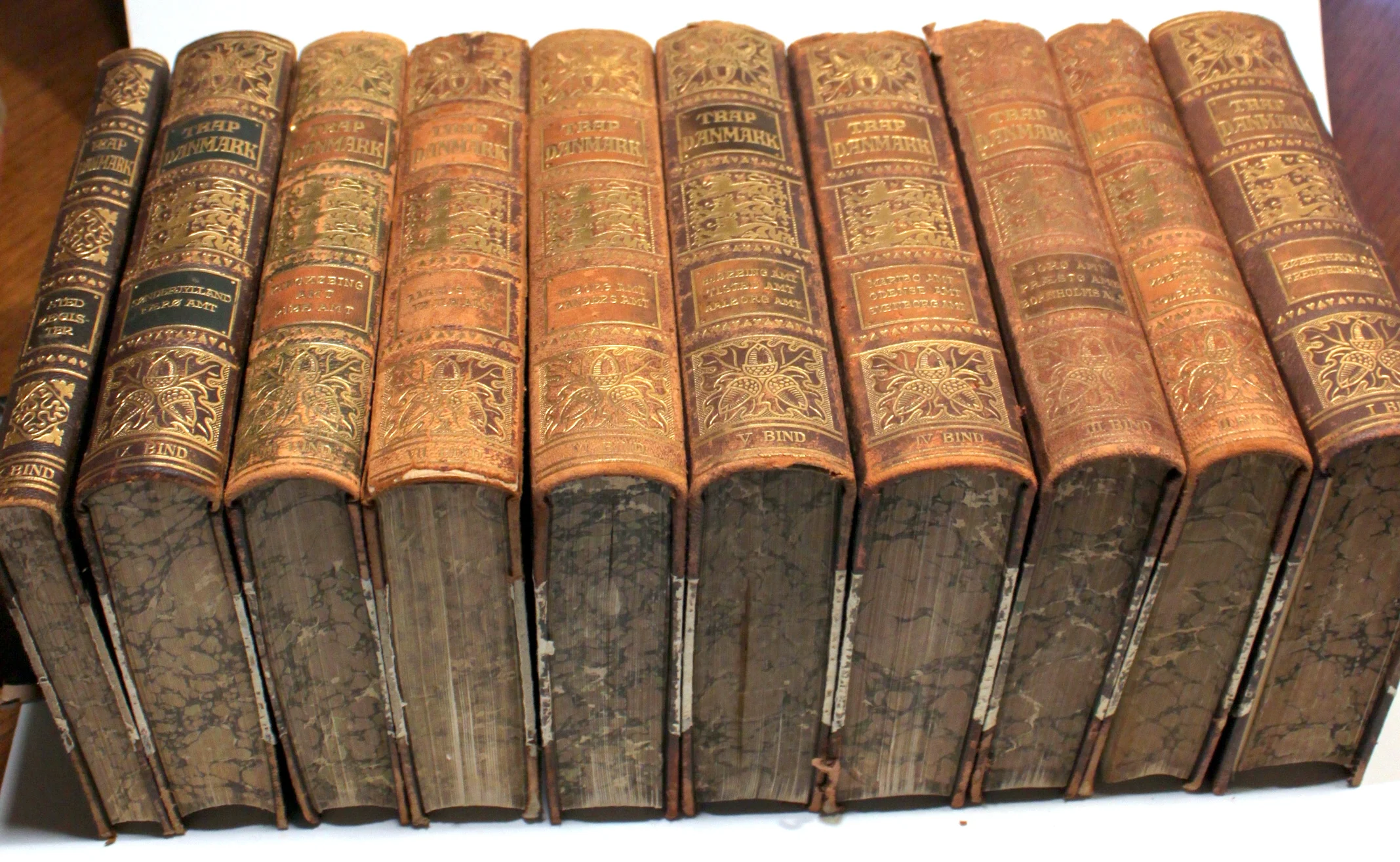 Kongeriget Danmark. 10 Bind.