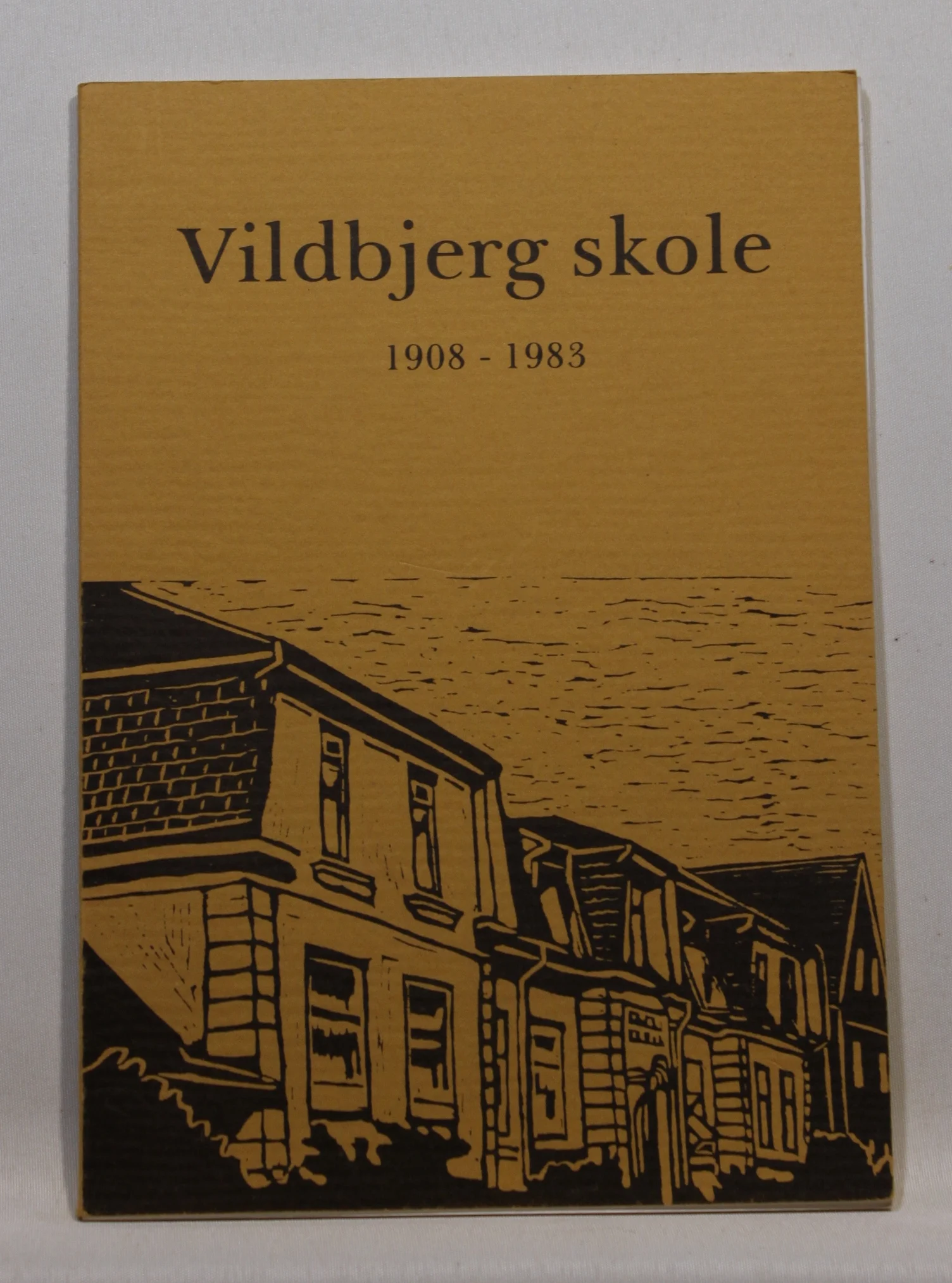 Vildbjerg skole 1908-1983