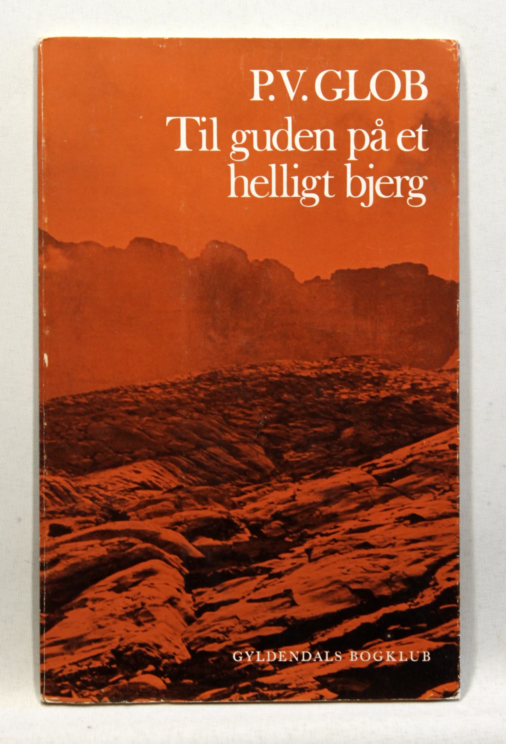 Til guden på et helligt bjerg. Helleristninger på Monte Bego