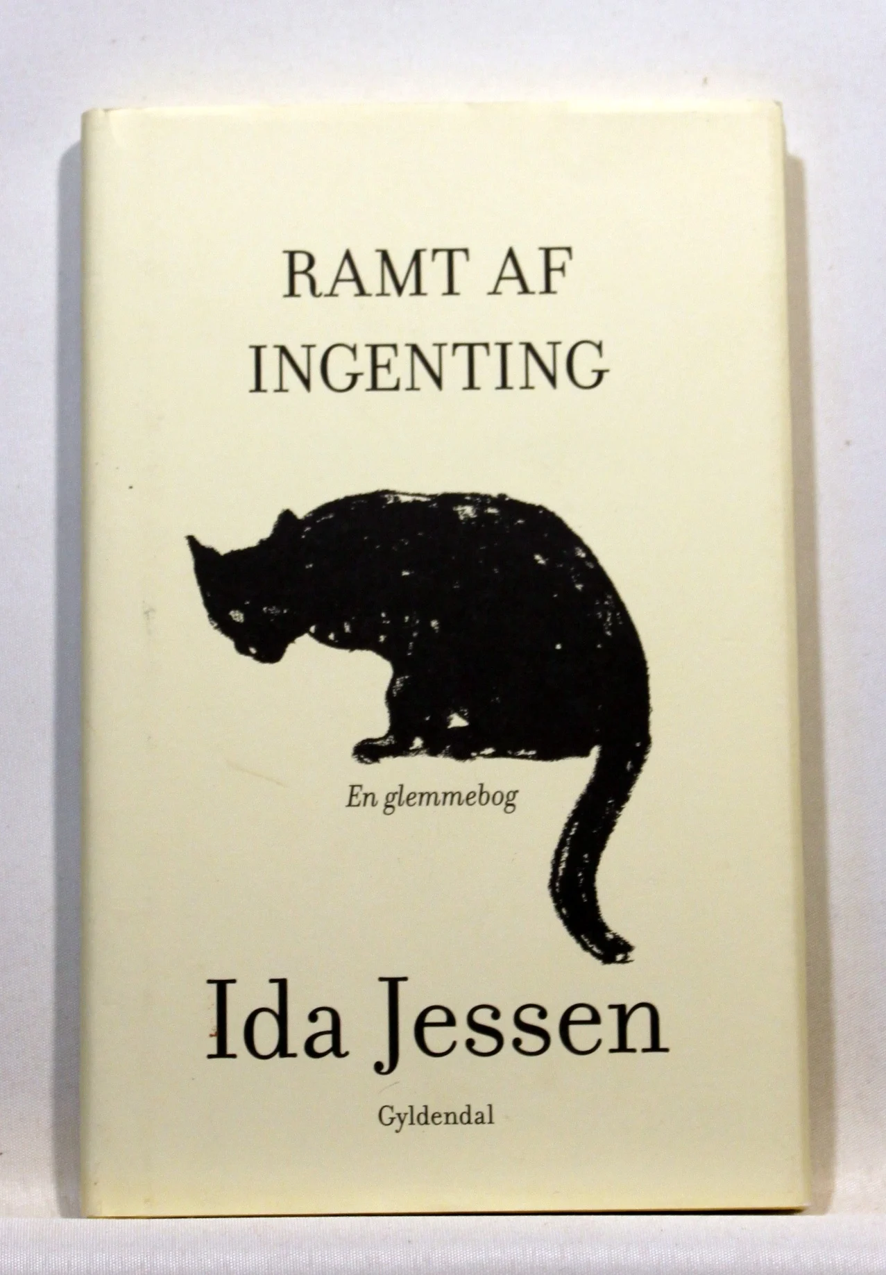 Ramt af ingenting. En glemmebog