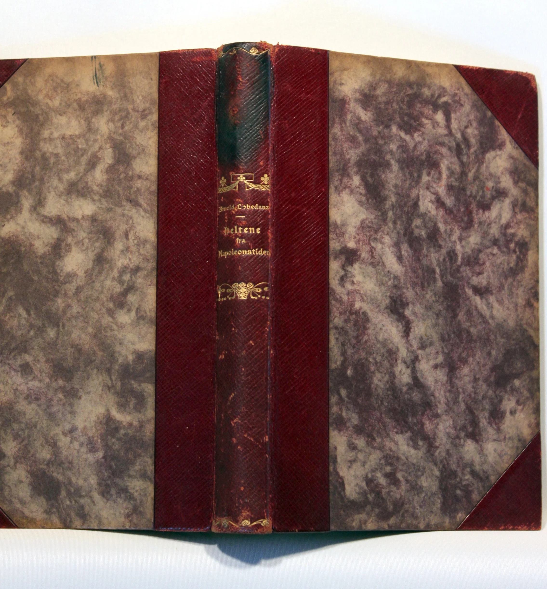 Heltene fra napoleonstiden efter ældre og nyere kilder