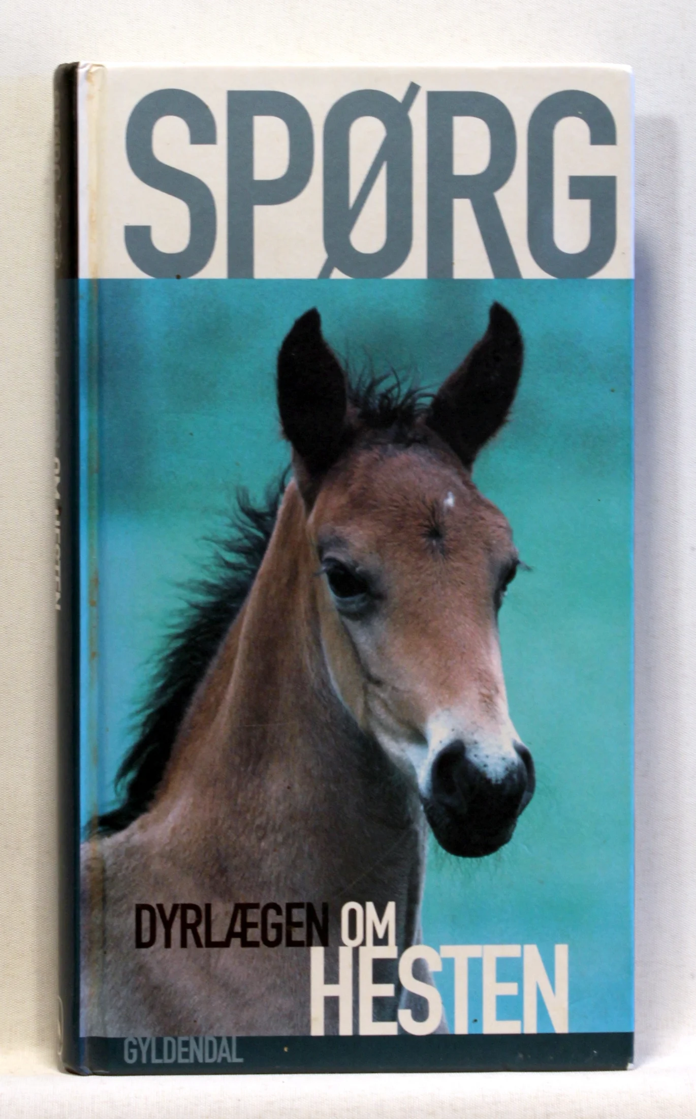 Spørg dyrlægen om hesten