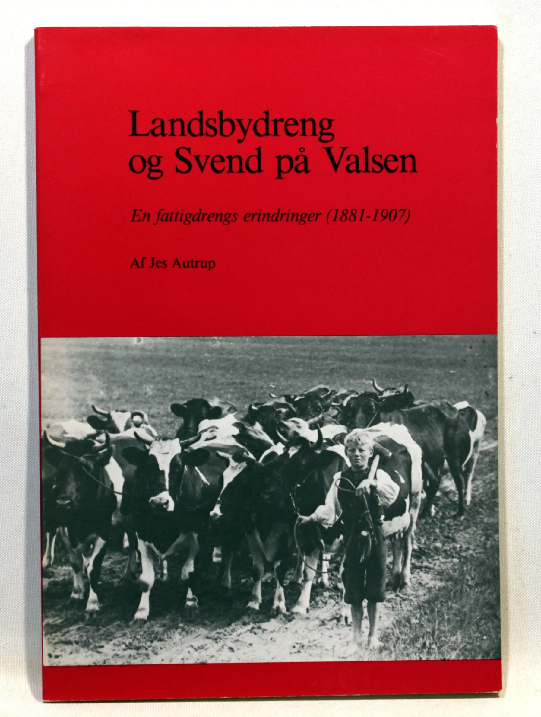 Landsbydreng og svend på valsen