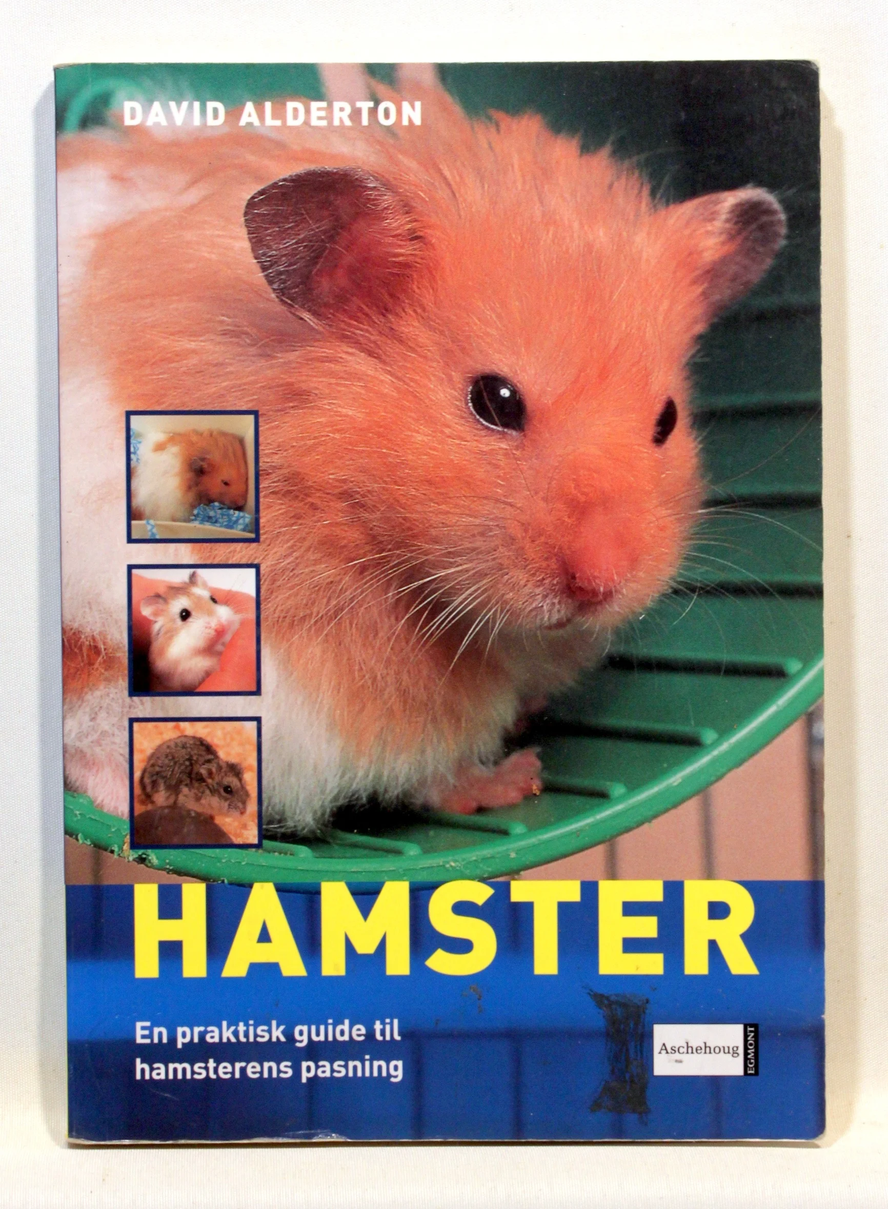 Hamster. En praktisk guide til hamsterens pasning