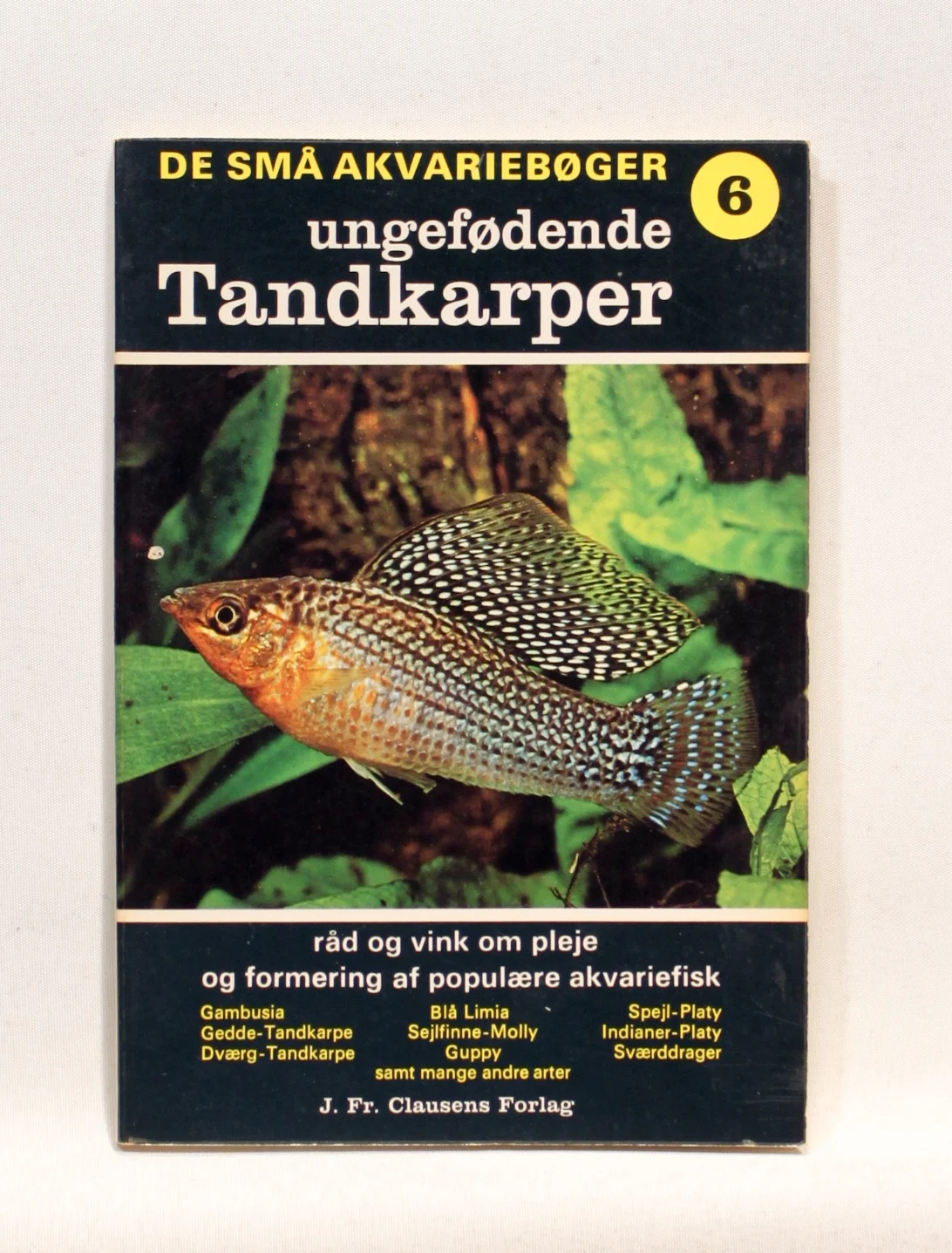 Ungefødende tandkarper