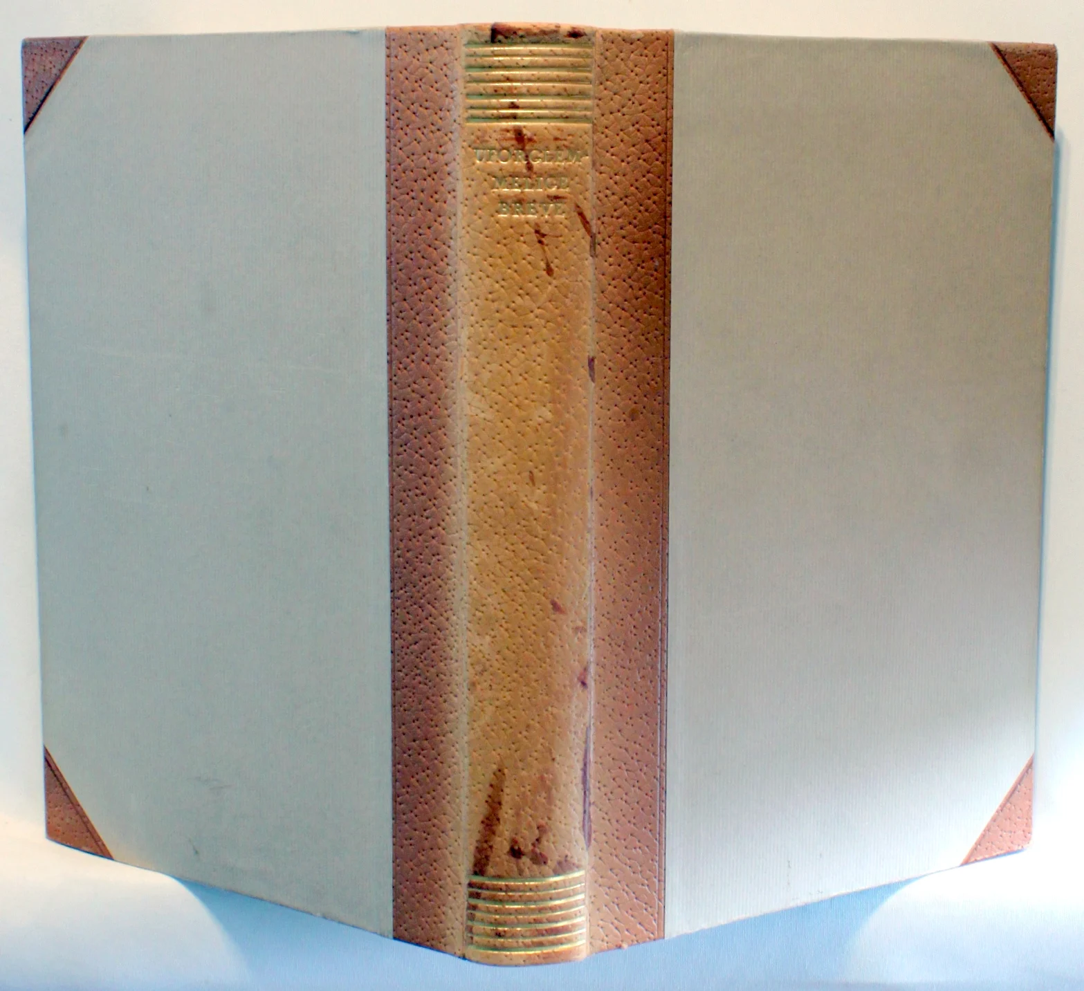 Uforglemmelige breve – fra de ældste tider til vore dage