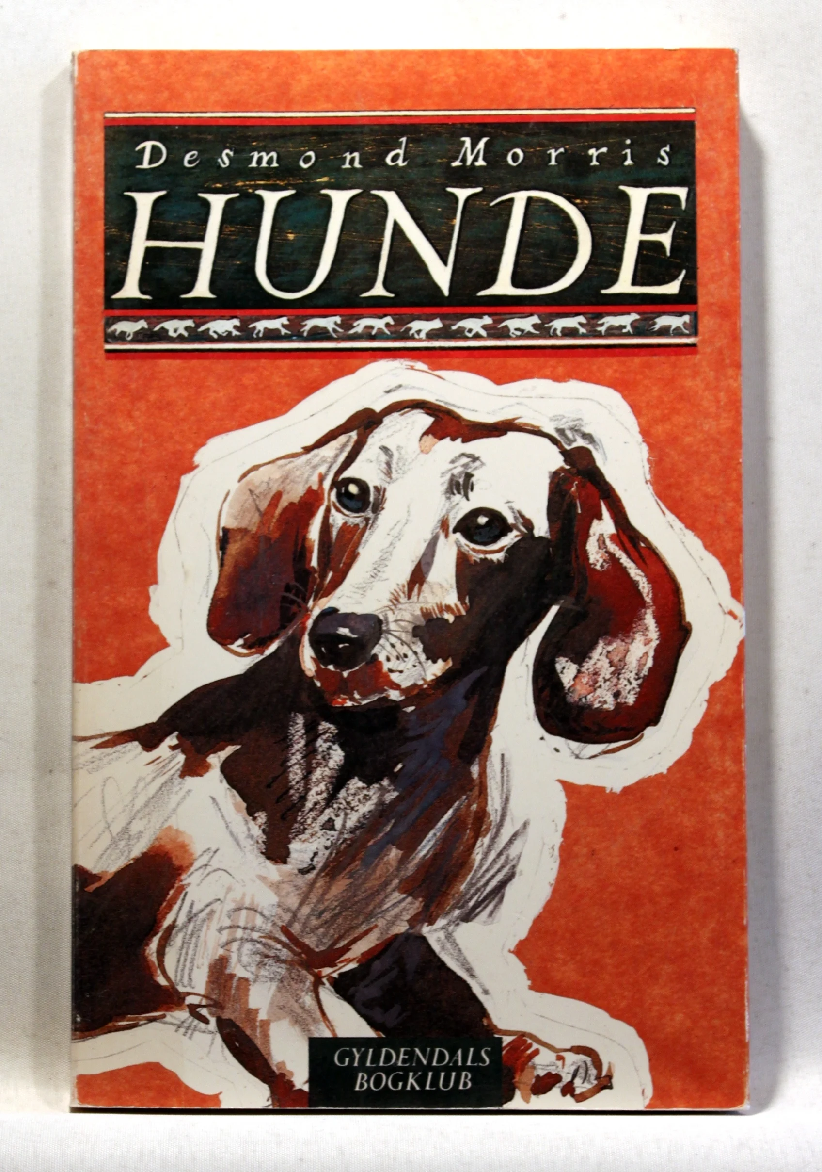Hunde