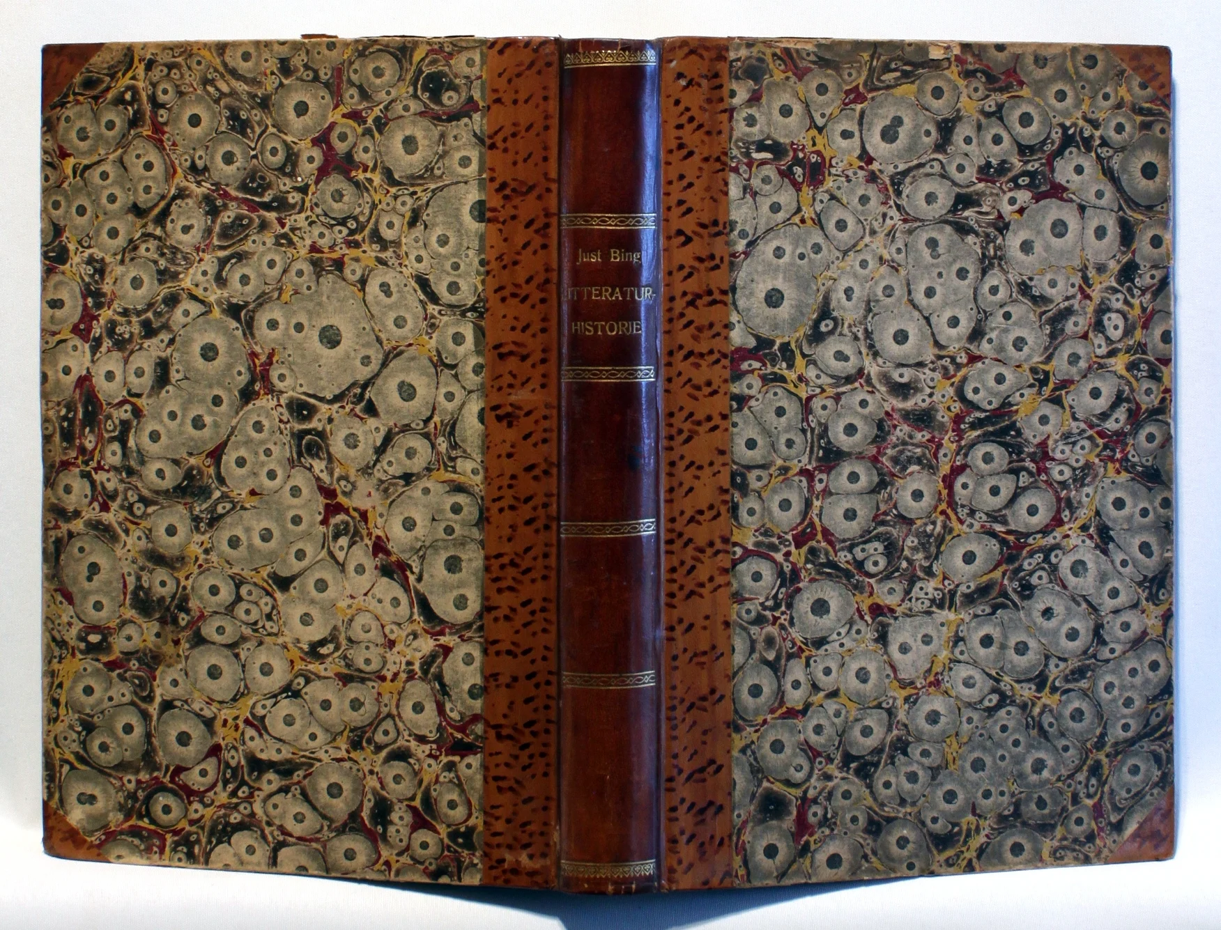 Europas Litteraturhistorie i det 19. Aarhundrede. Grundlinier og Hovedværker