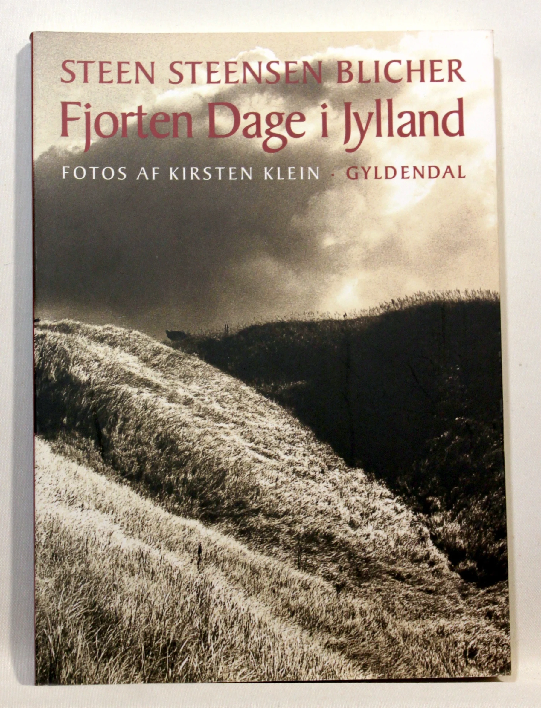 Fjorten dage i Jylland