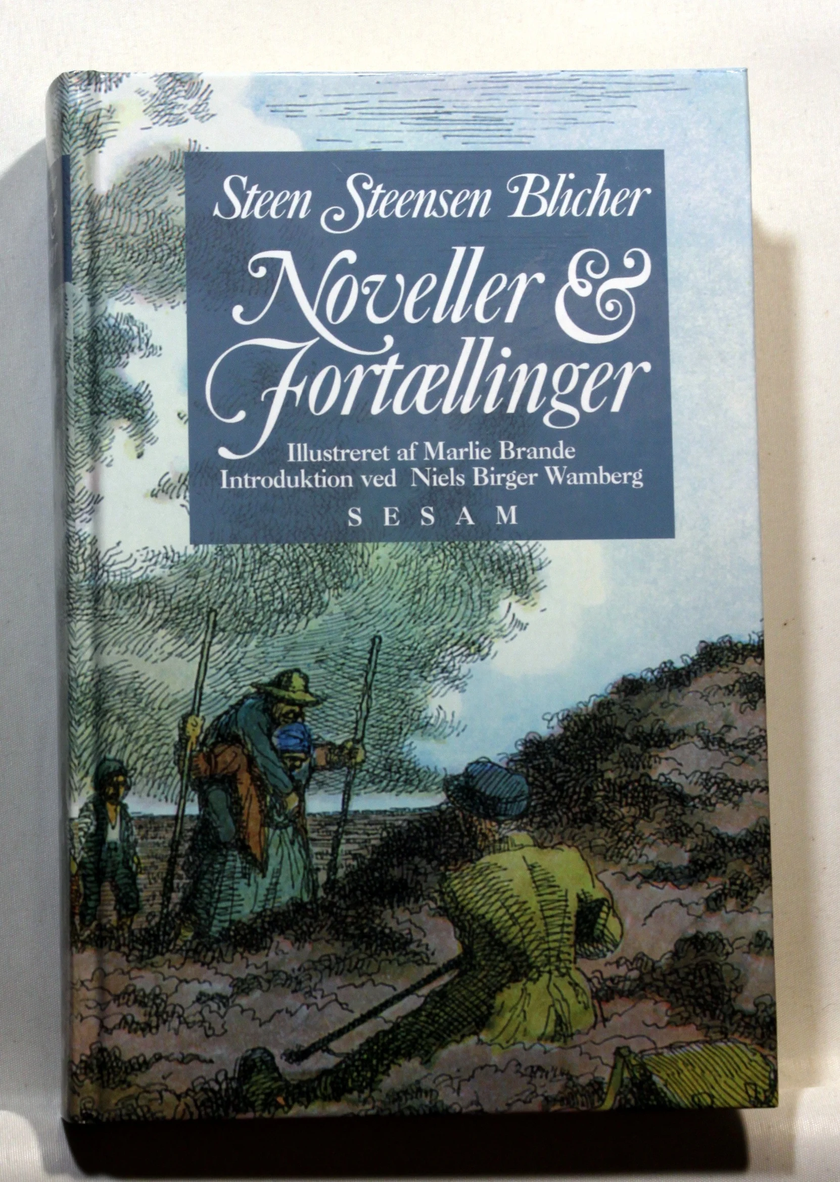 Noveller & Fortællinger