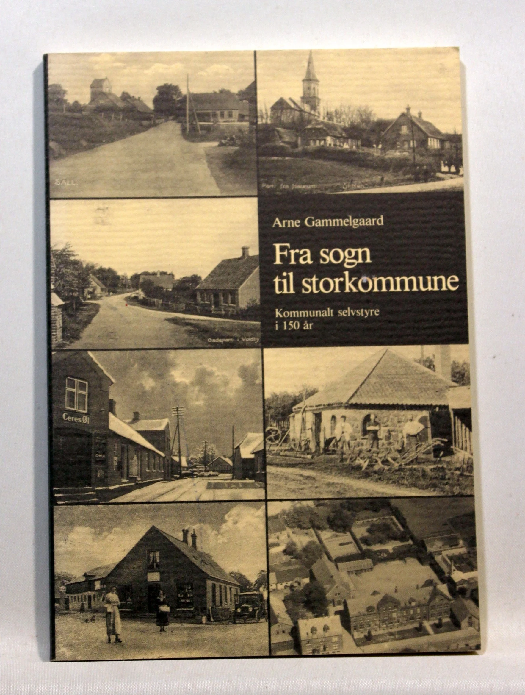 Fra sogn til storkommune. Kommunalt selvstyre i 150 år