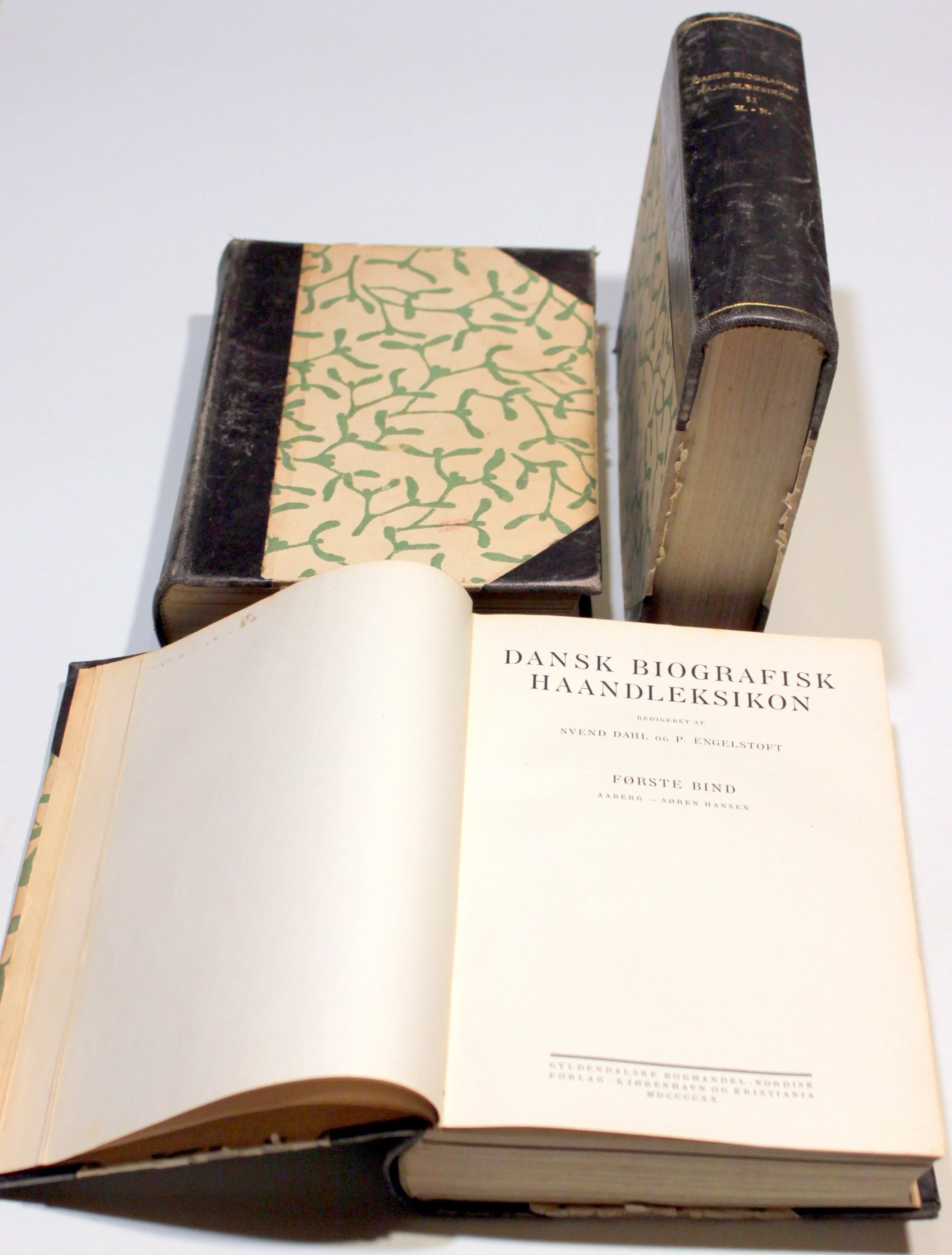 Dansk Biografisk Haanleksikon