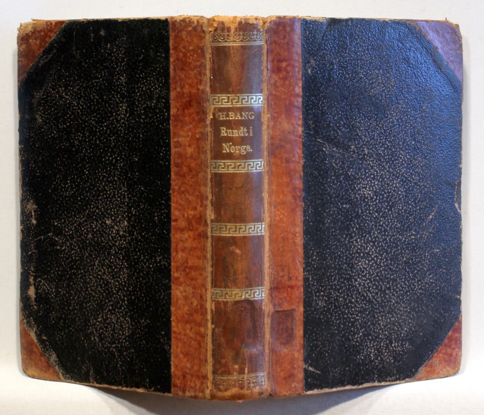 Rundt i Norge. Skildringer og billeder