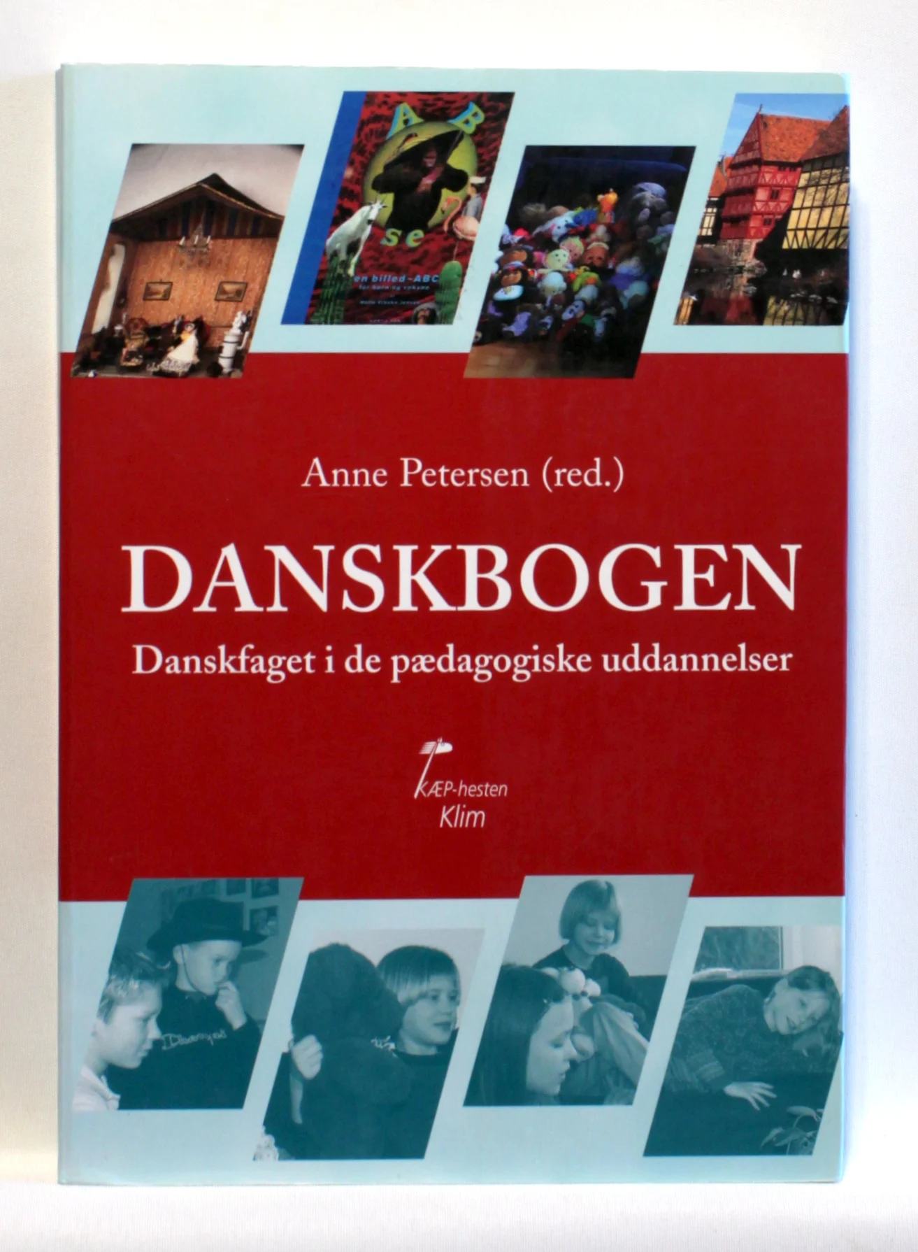 Danskbogen. Danskfaget i de pædagogiske uddannelser