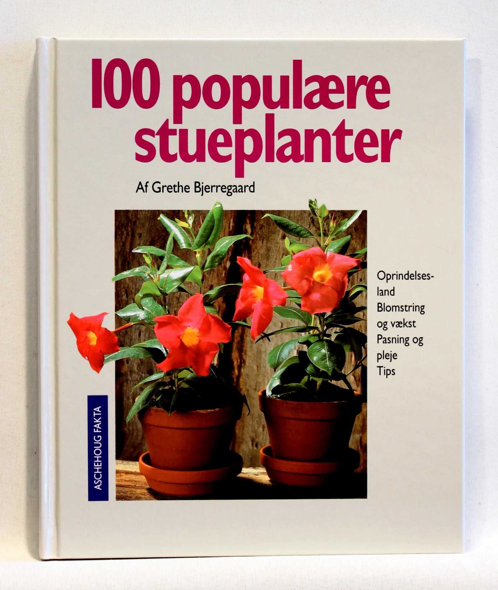 100 populære stueplanter