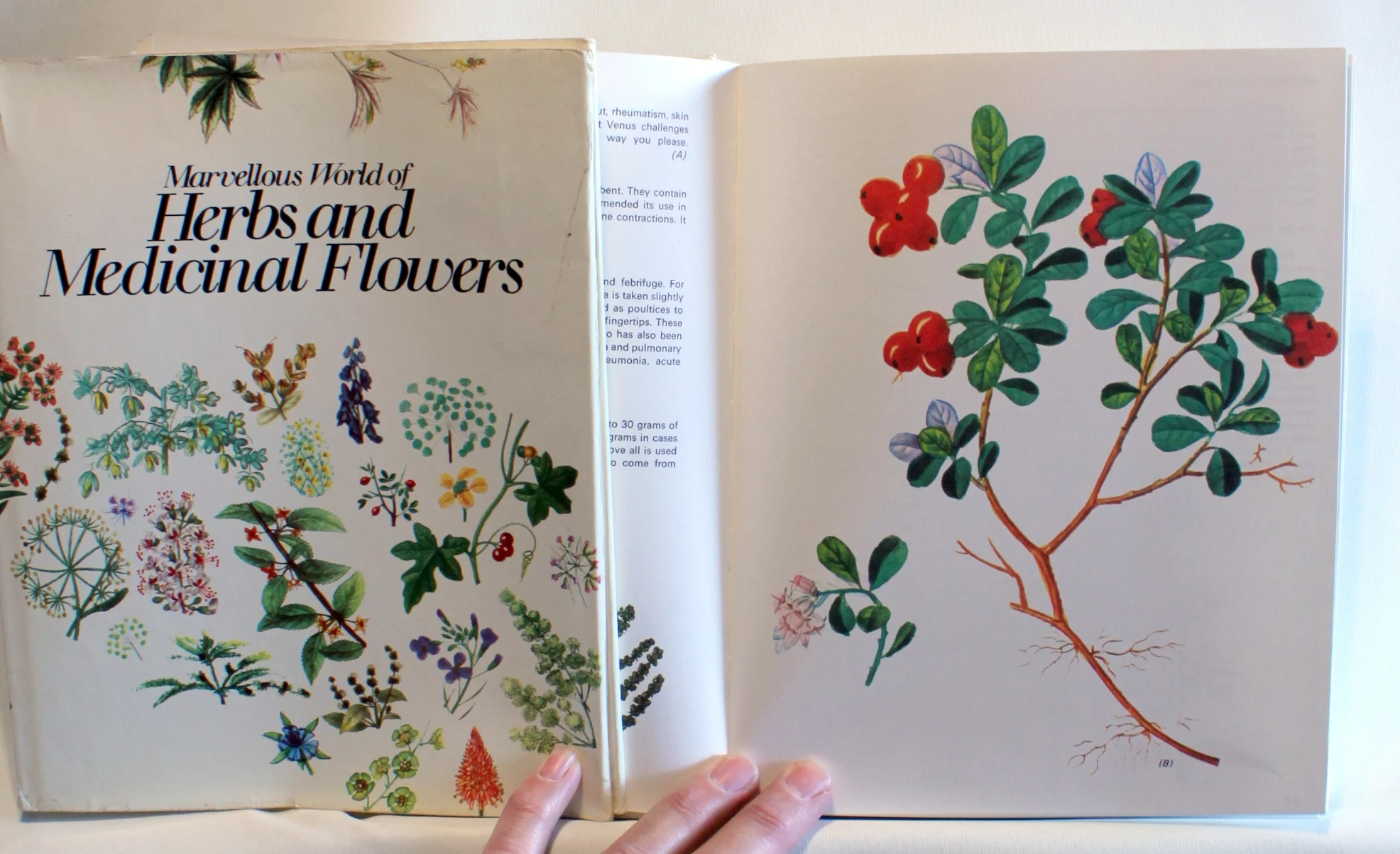 Marvellous World of Herbs and Medicinal Flowers