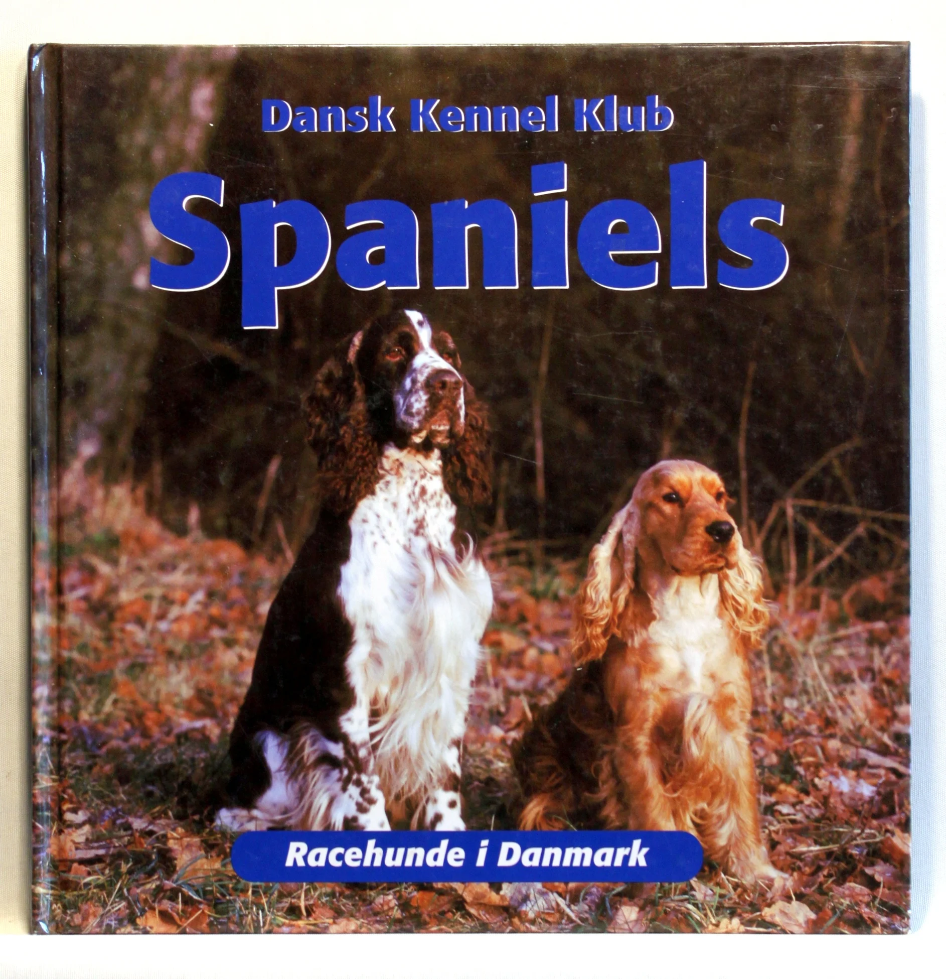 Spaniels