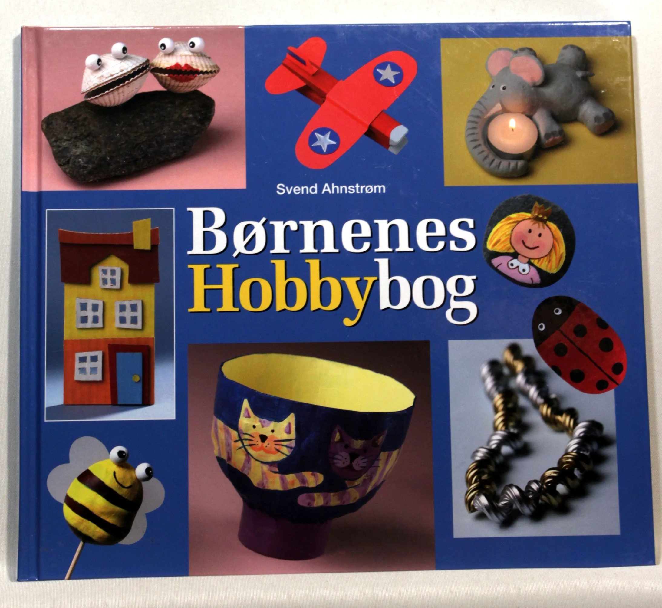 Børnenes hobbybog