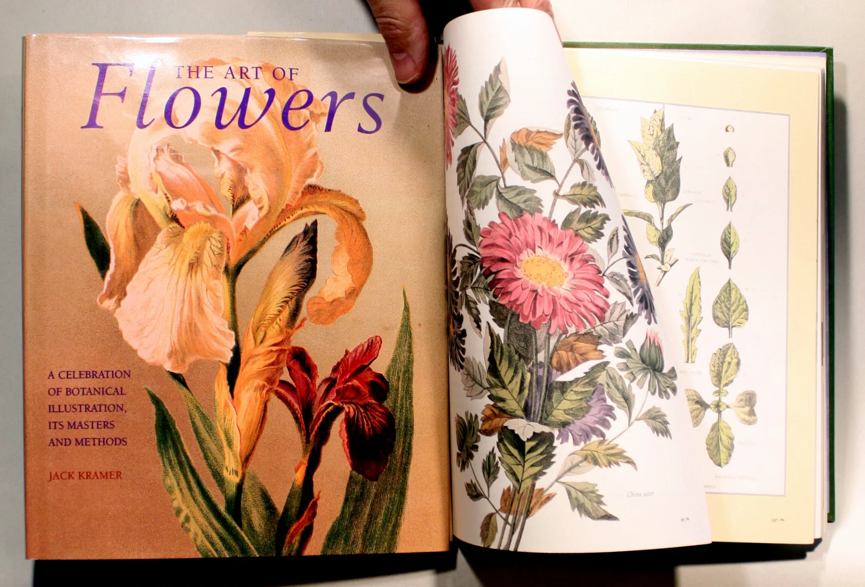The Art of Flowers
