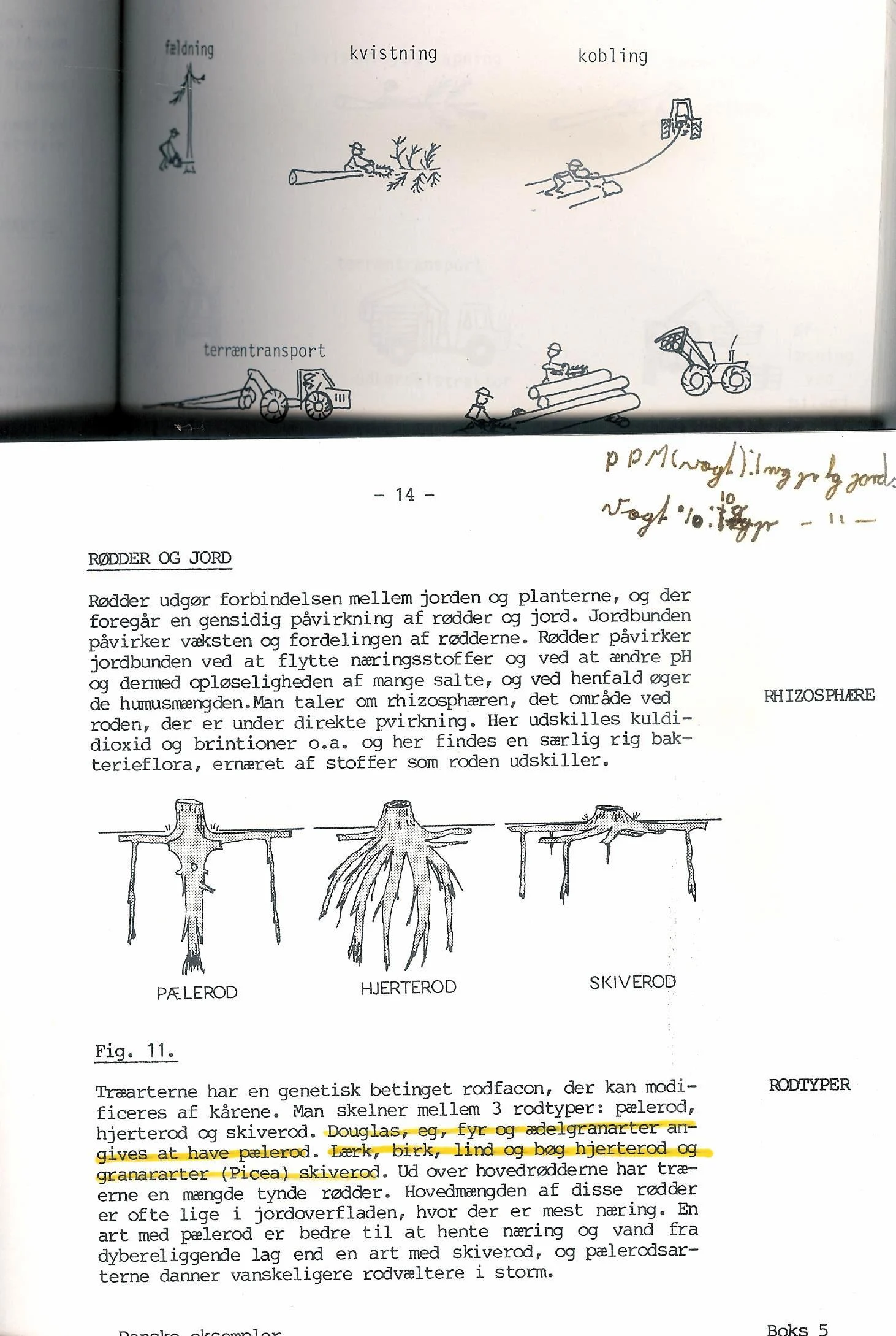 Skovøkologi & Skovning. 2 stk.