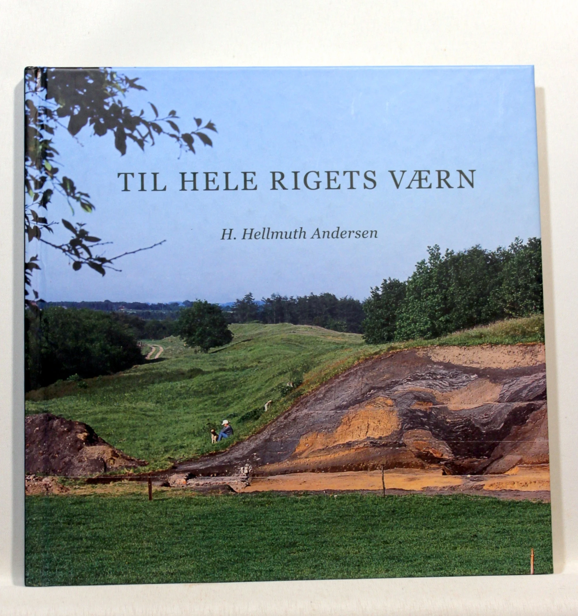 Til hele Rigets værn. Danevirkes arkæologi og historie