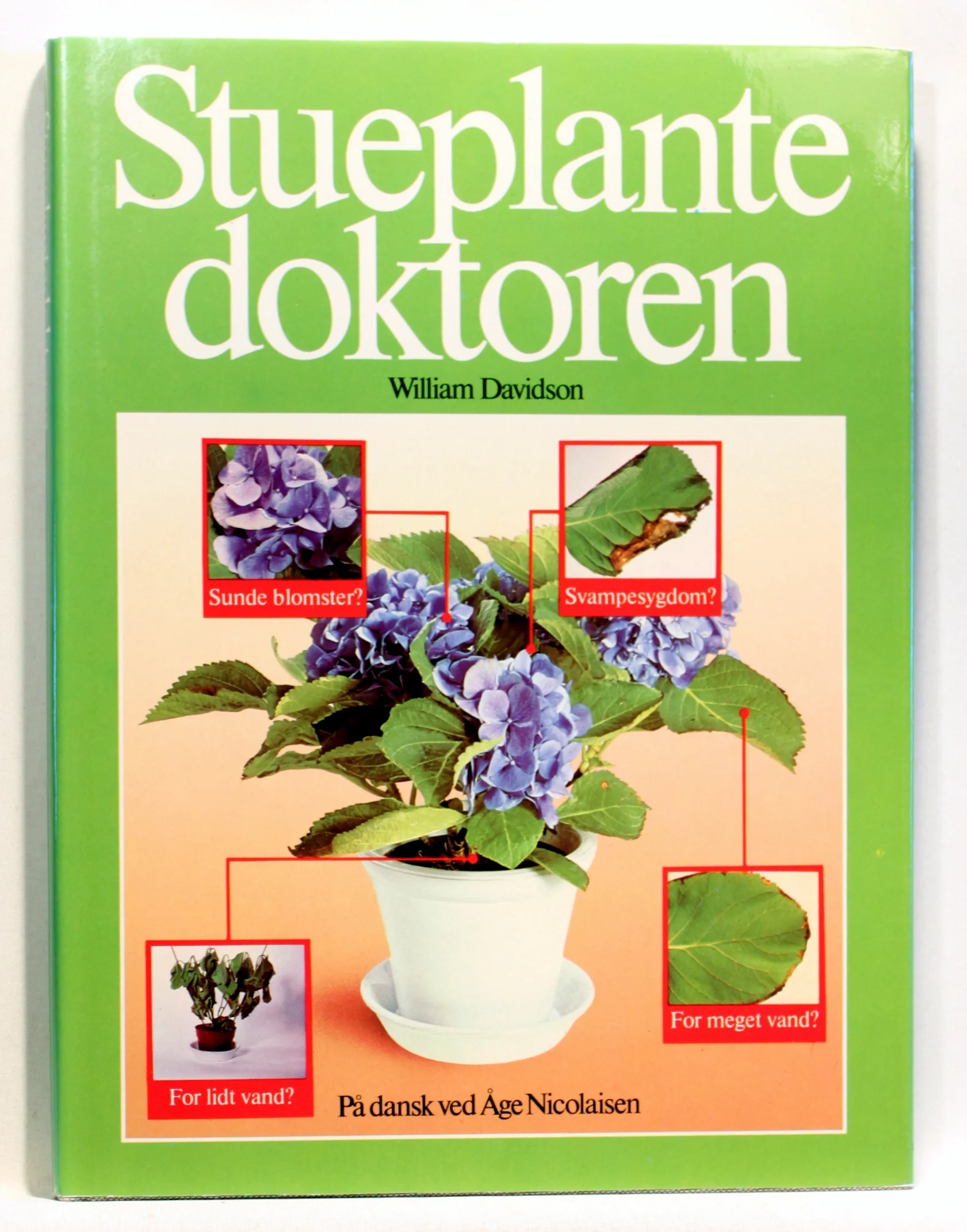 Stueplantedoktoren