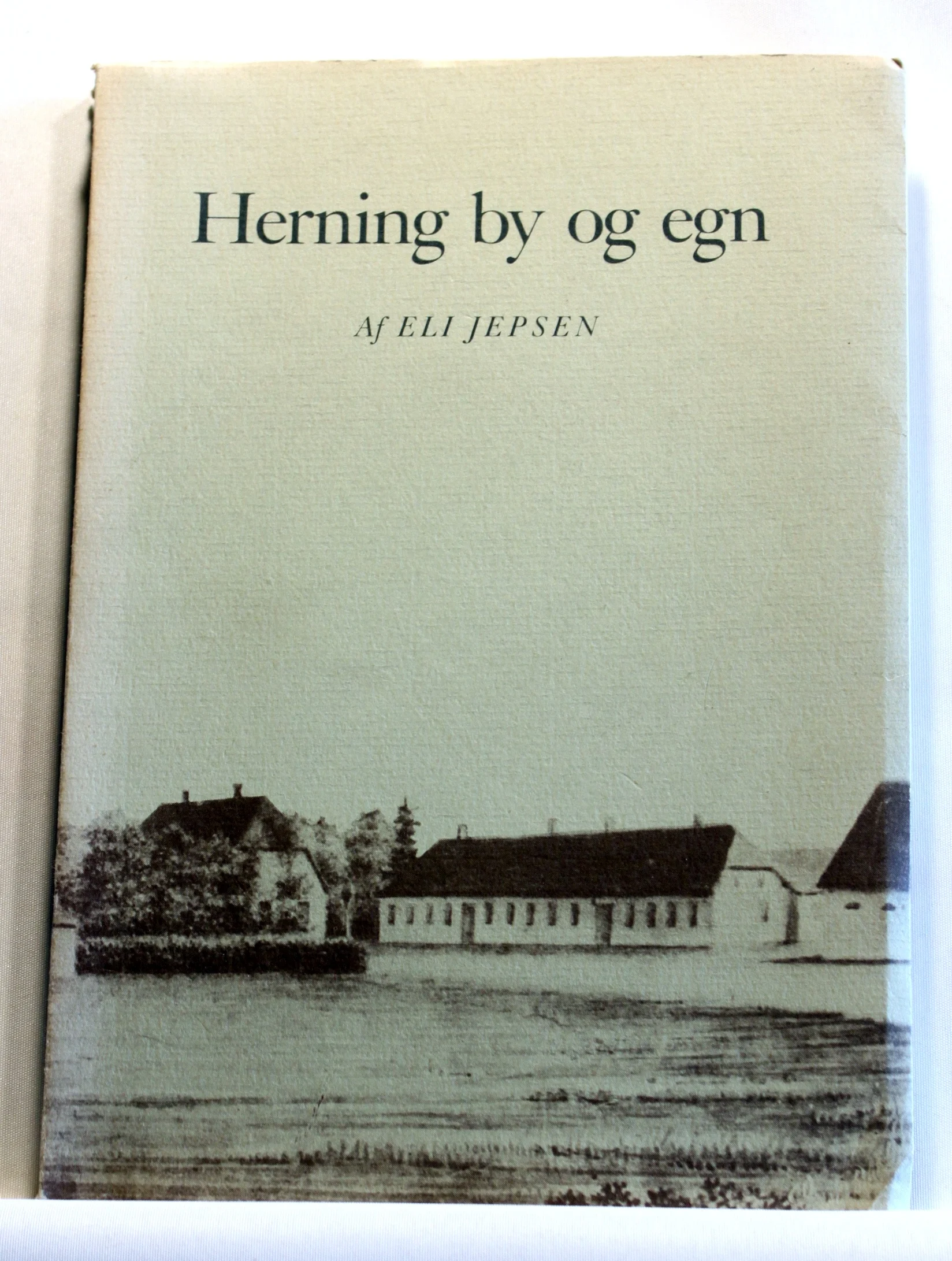 Herning by og egn