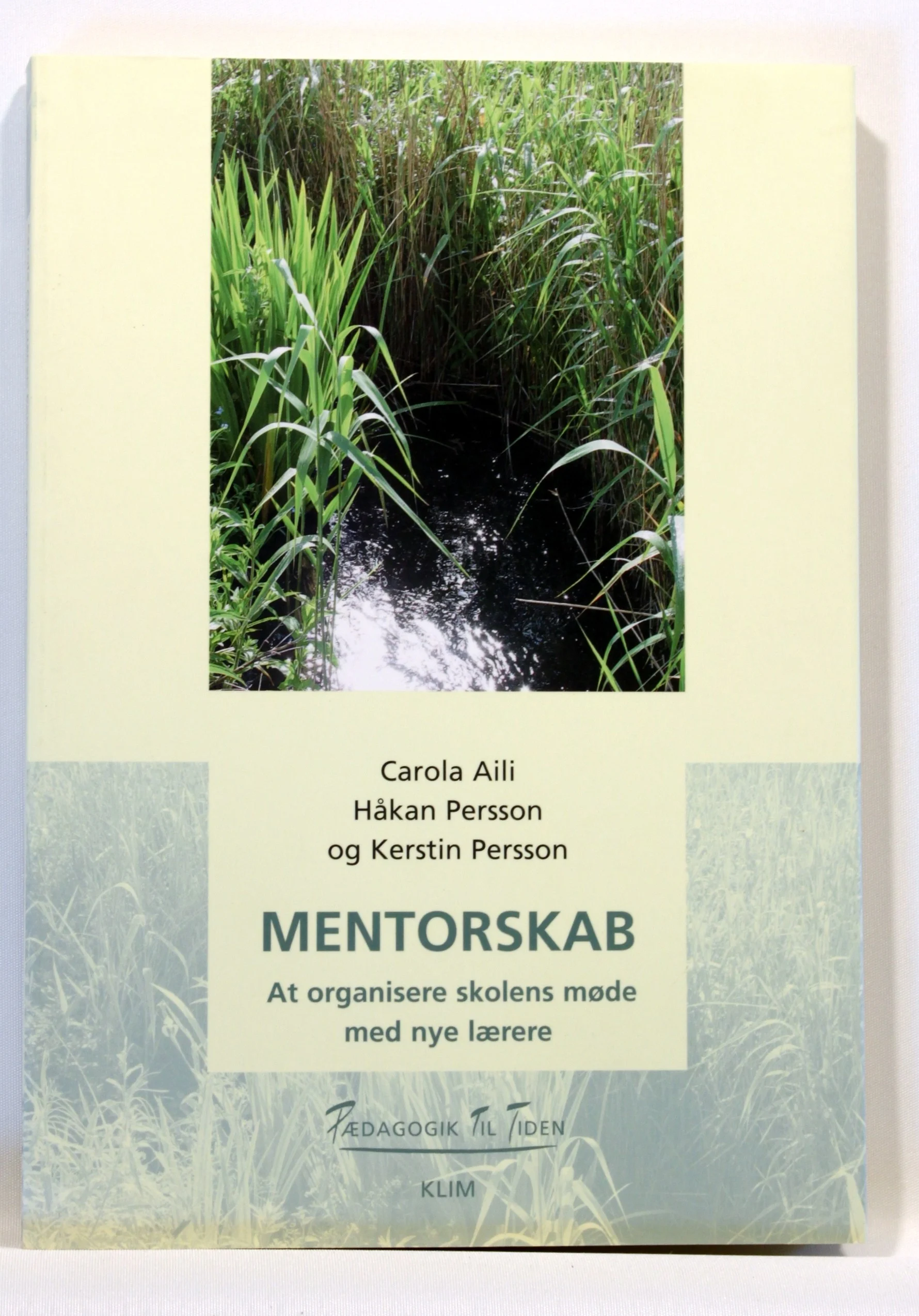 Mentorskab – at organisere skolens møde med nye lærere